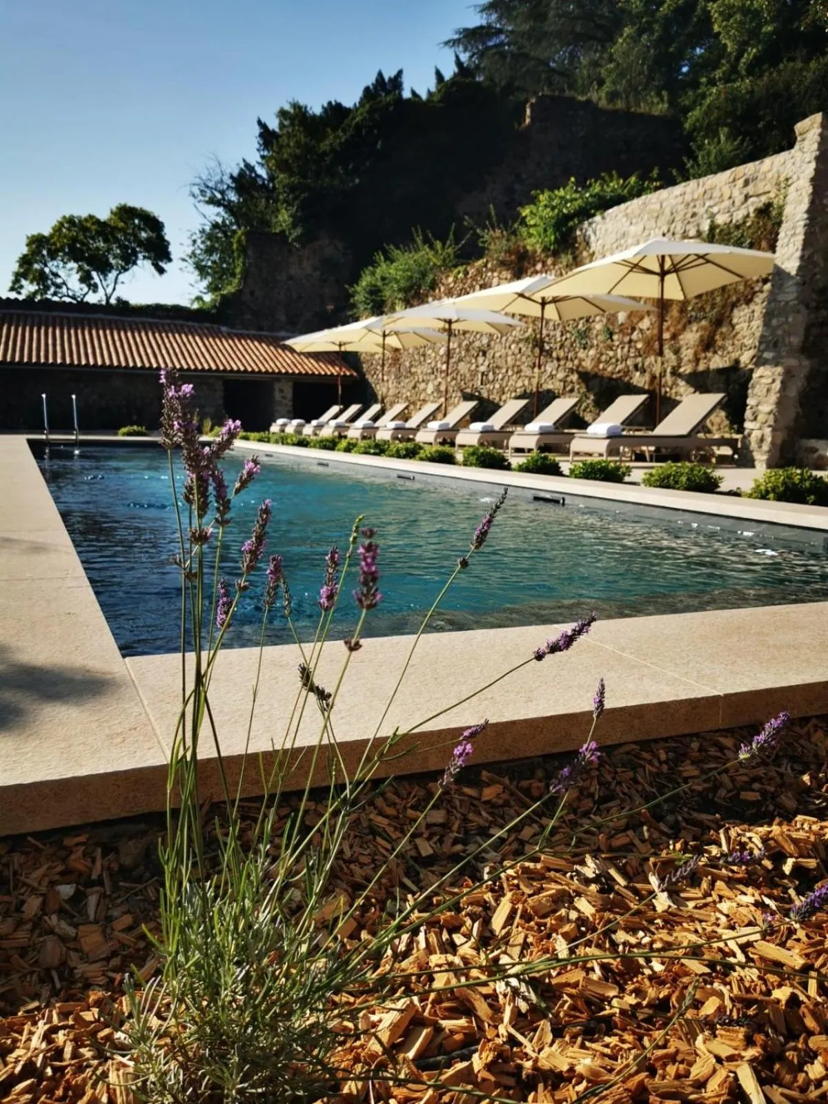 Swimming pool in Hôtel de la Villeon