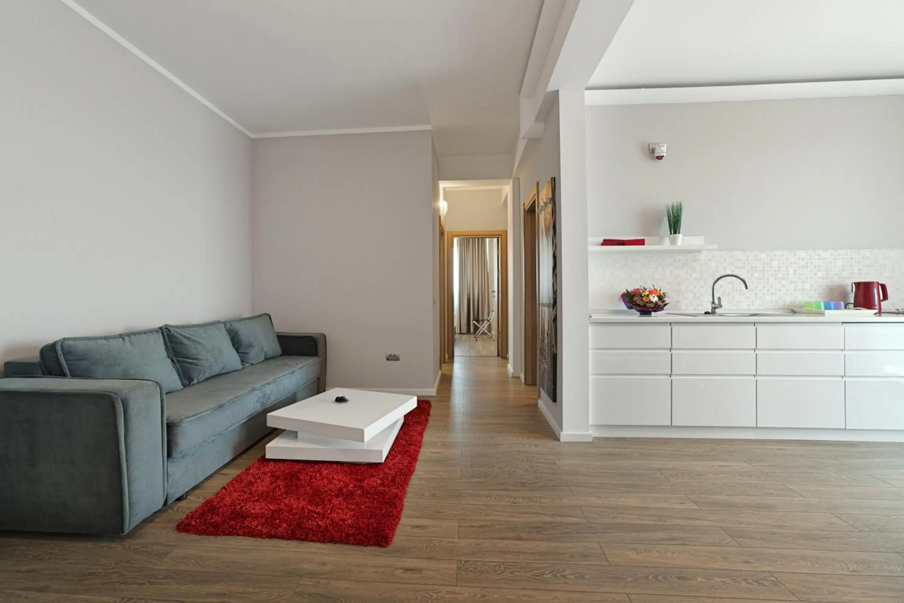 Living room in Tomis Garden Apartments Mamaia Living room in Tomis Garden Apartments Mamaia