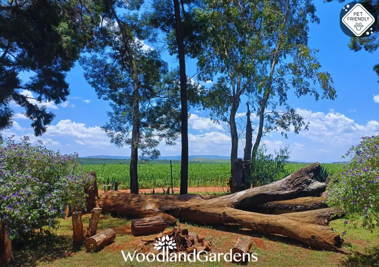 Garden in Woodland Gardens Self catering Pet Friendly Lodge