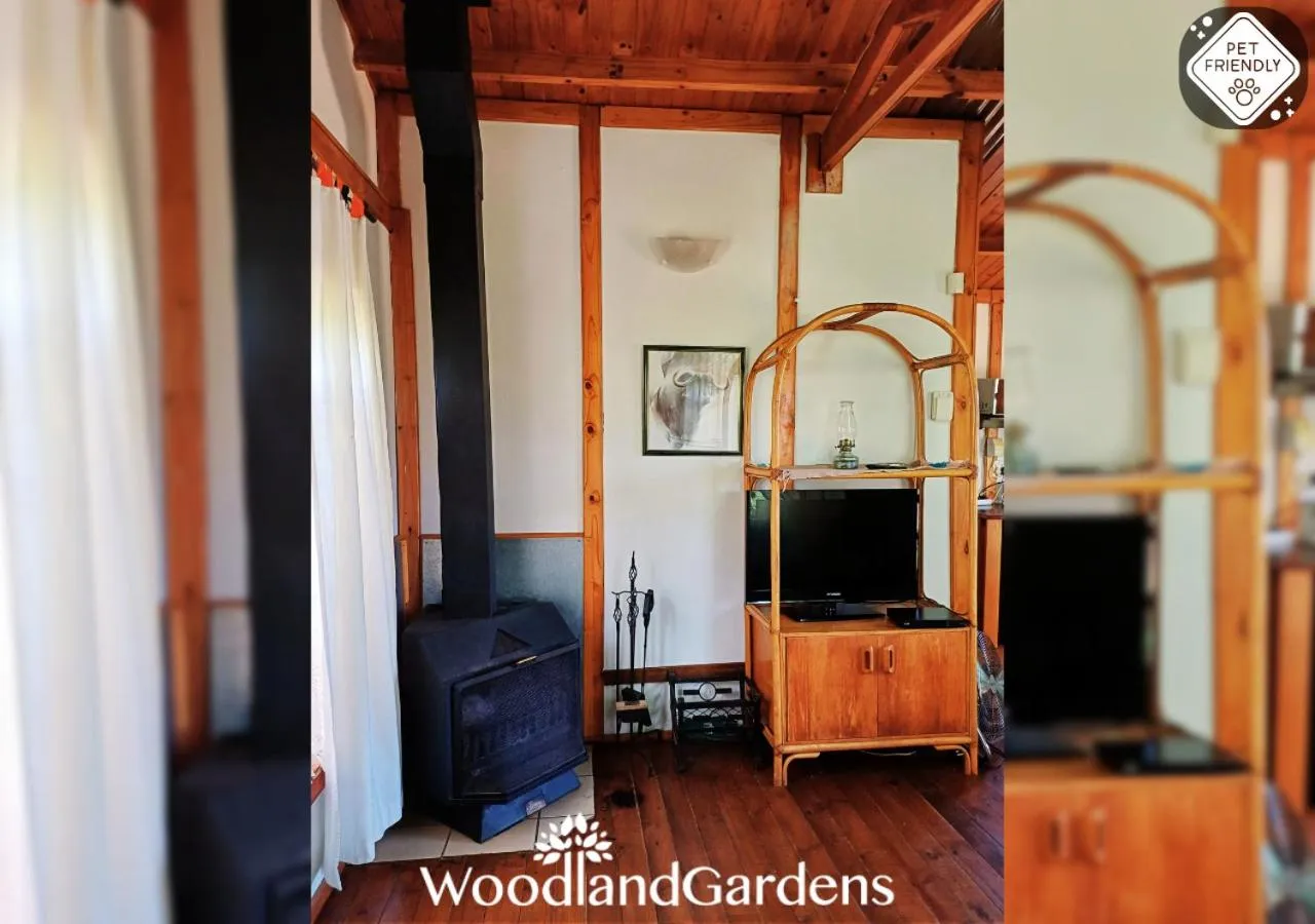 TV and multimedia in Woodland Gardens Self catering Pet Friendly Lodge