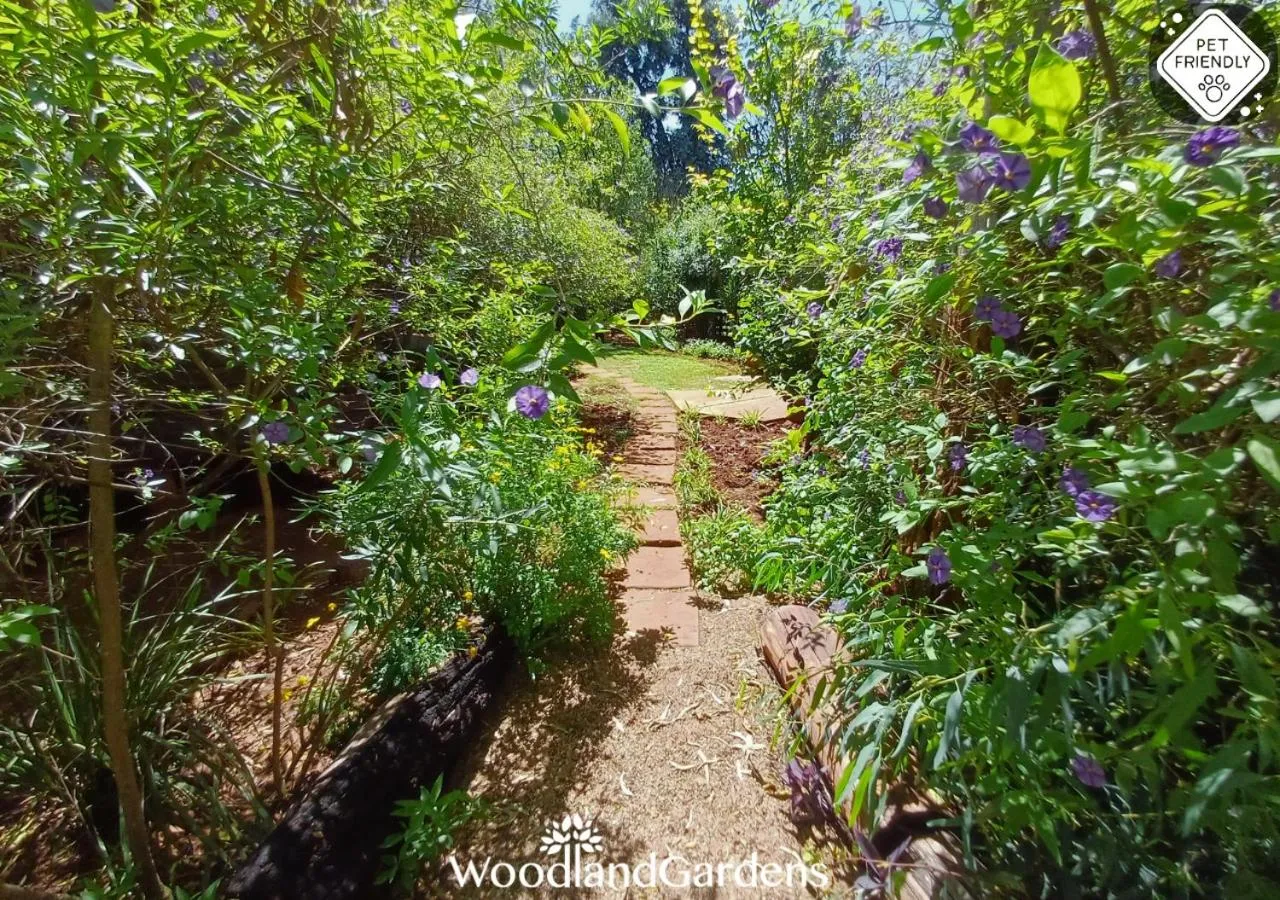 Garden in Woodland Gardens Self catering Pet Friendly Lodge