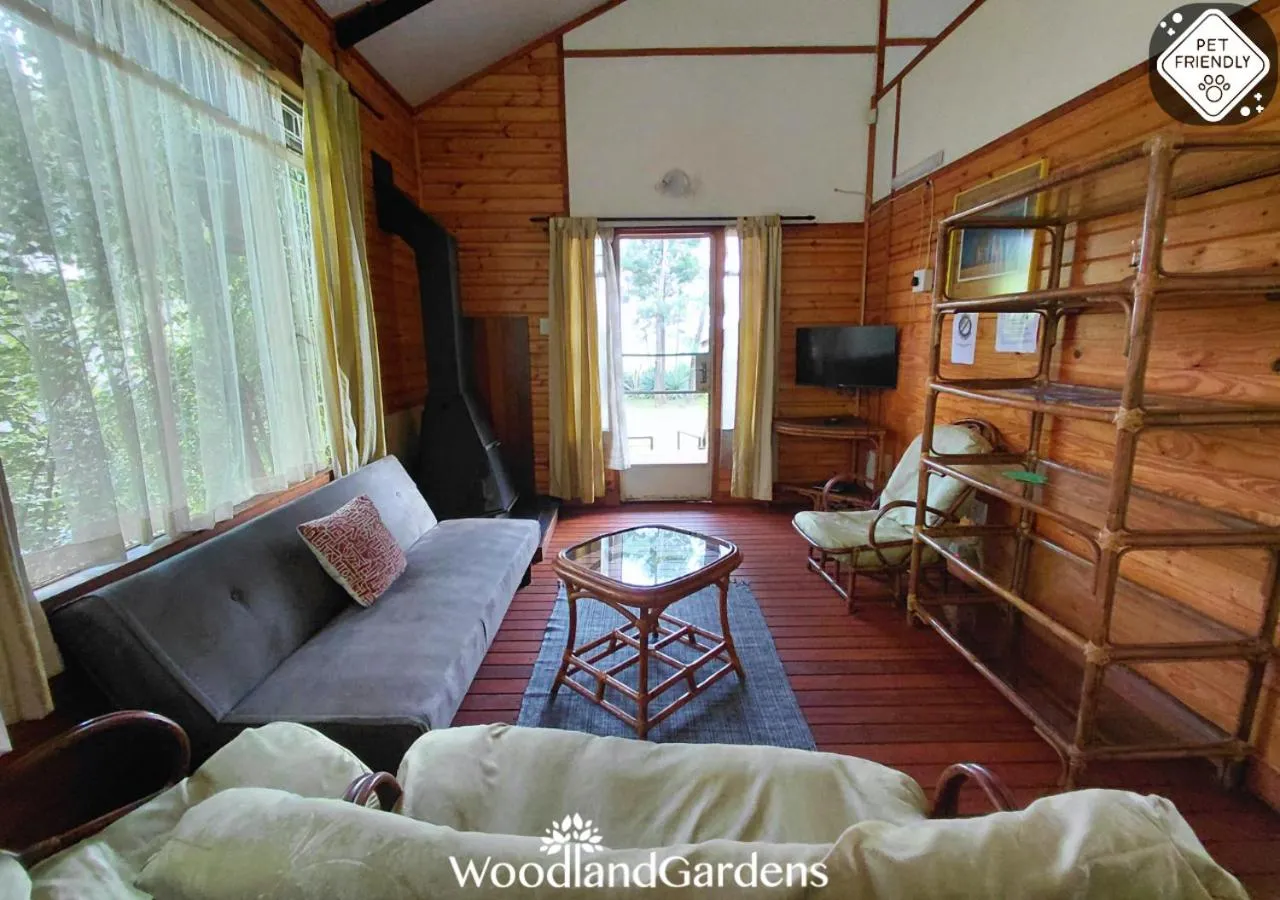 TV and multimedia in Woodland Gardens Self catering Pet Friendly Lodge