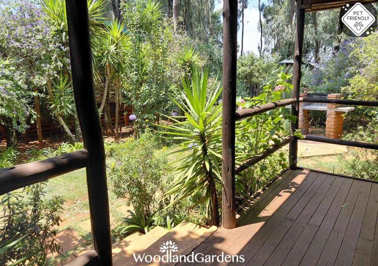Garden in Woodland Gardens Self catering Pet Friendly Lodge
