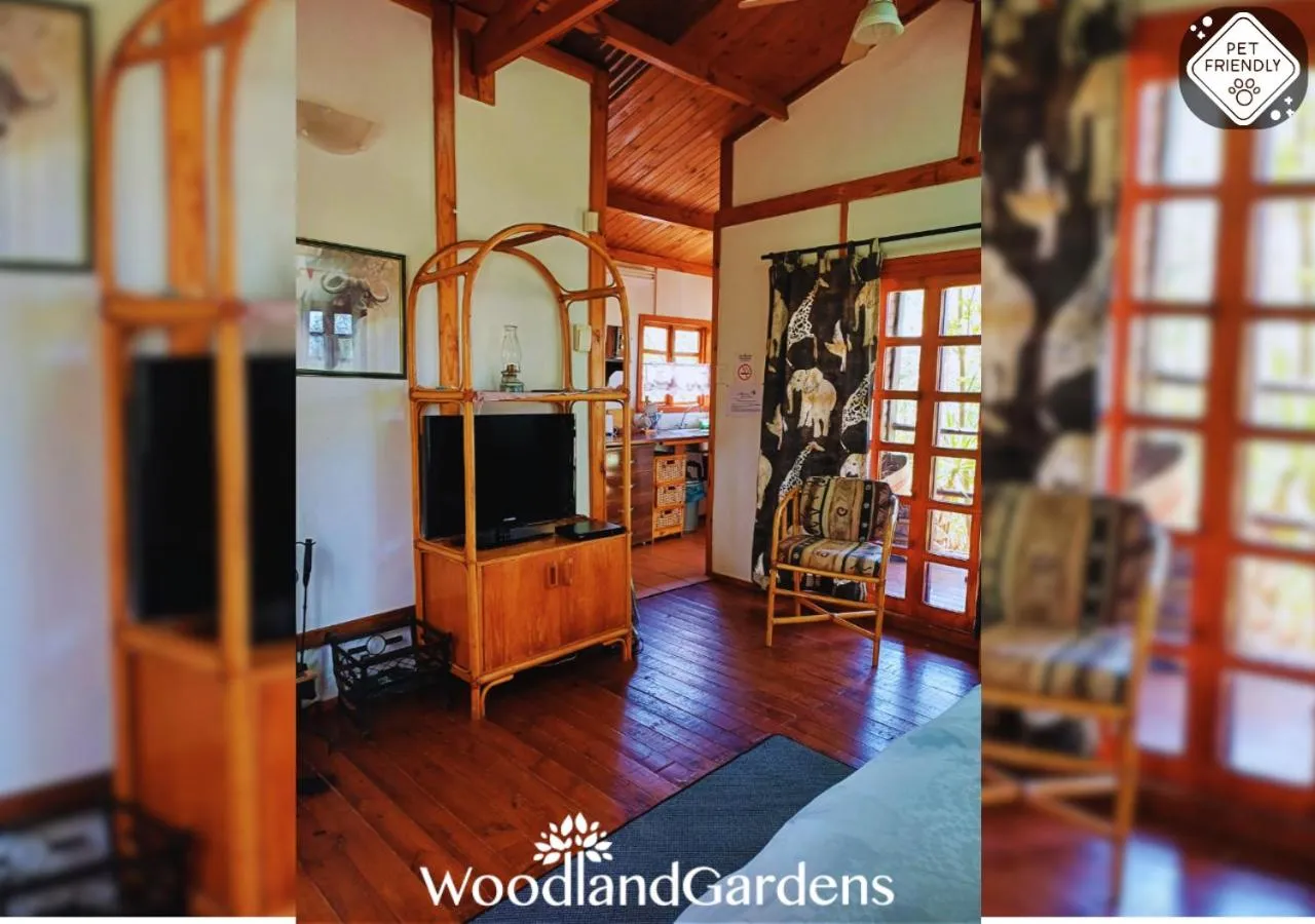 TV and multimedia in Woodland Gardens Self catering Pet Friendly Lodge