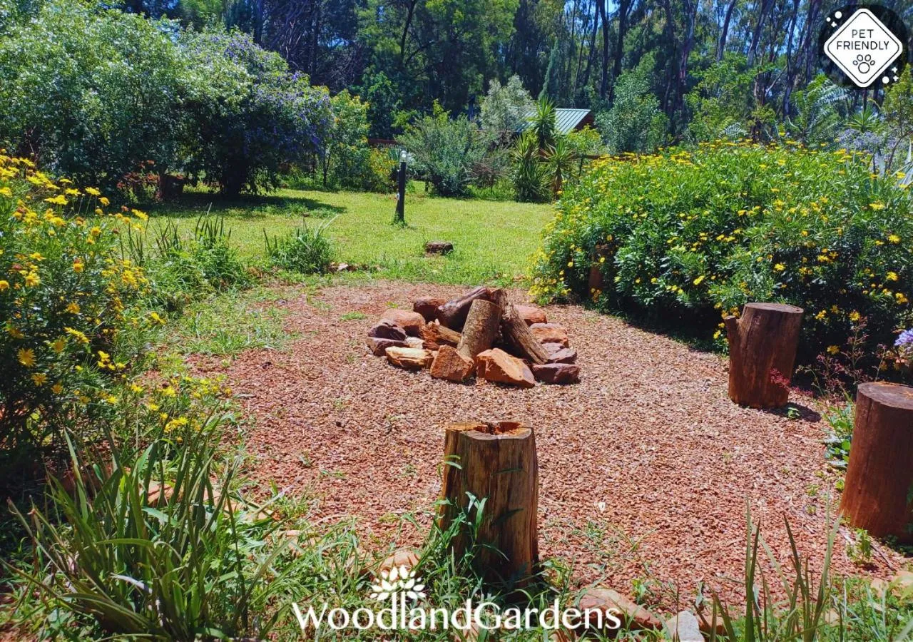 Garden in Woodland Gardens Self catering Pet Friendly Lodge