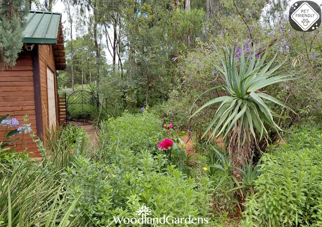 Garden in Woodland Gardens Self catering Pet Friendly Lodge