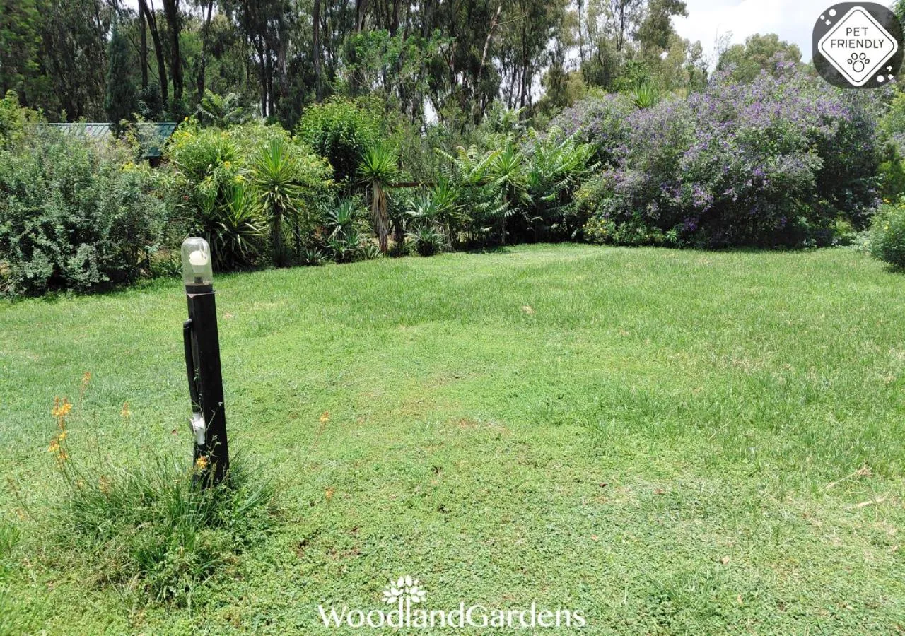 Garden in Woodland Gardens Self catering Pet Friendly Lodge