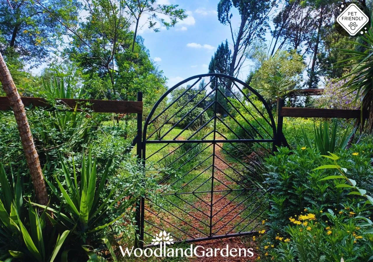 Garden in Woodland Gardens Self catering Pet Friendly Lodge