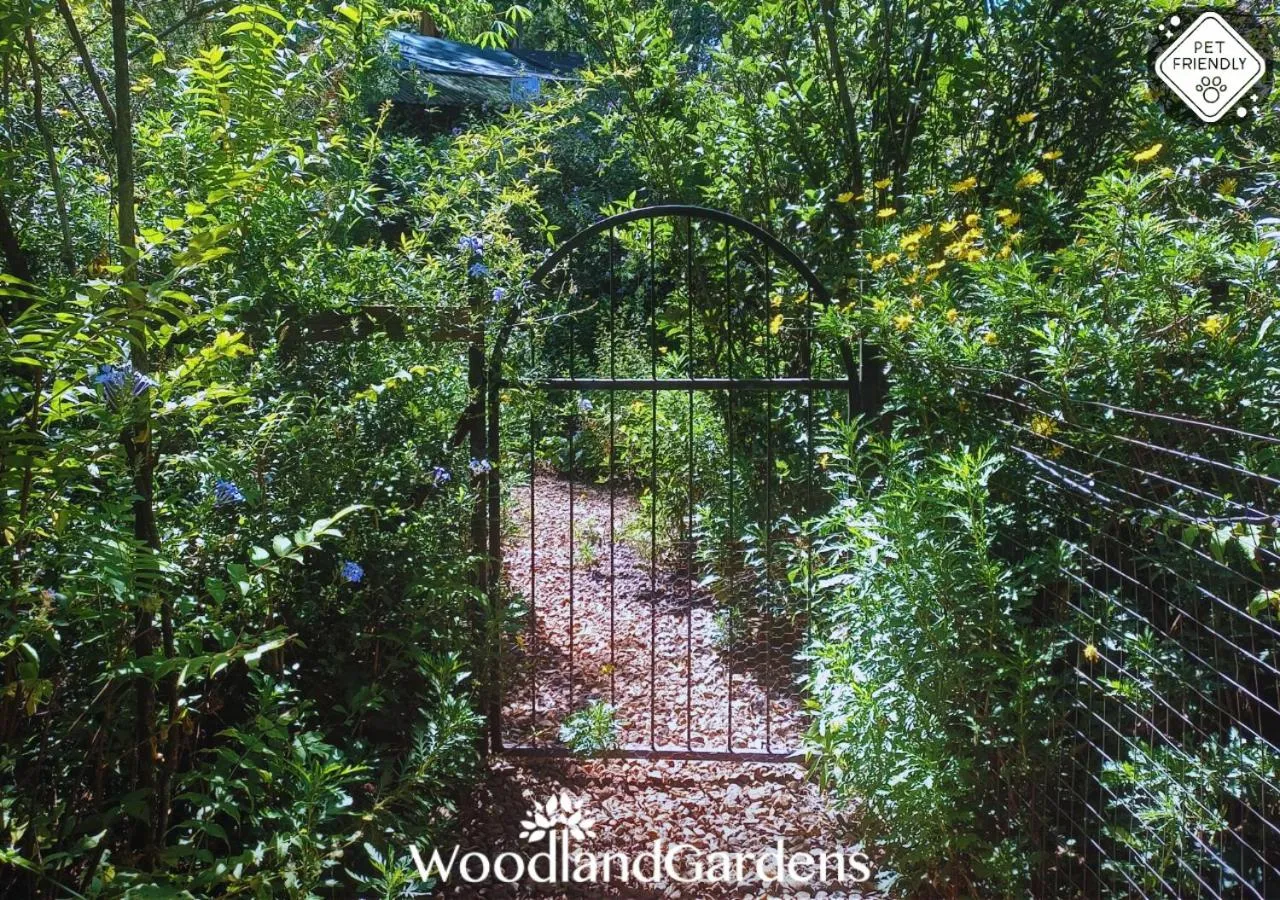 Garden in Woodland Gardens Self catering Pet Friendly Lodge
