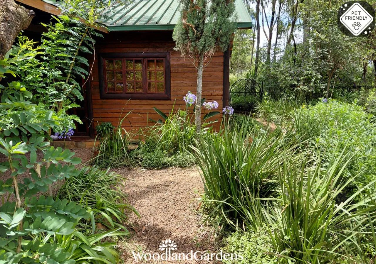 Property building in Woodland Gardens Self catering Pet Friendly Lodge