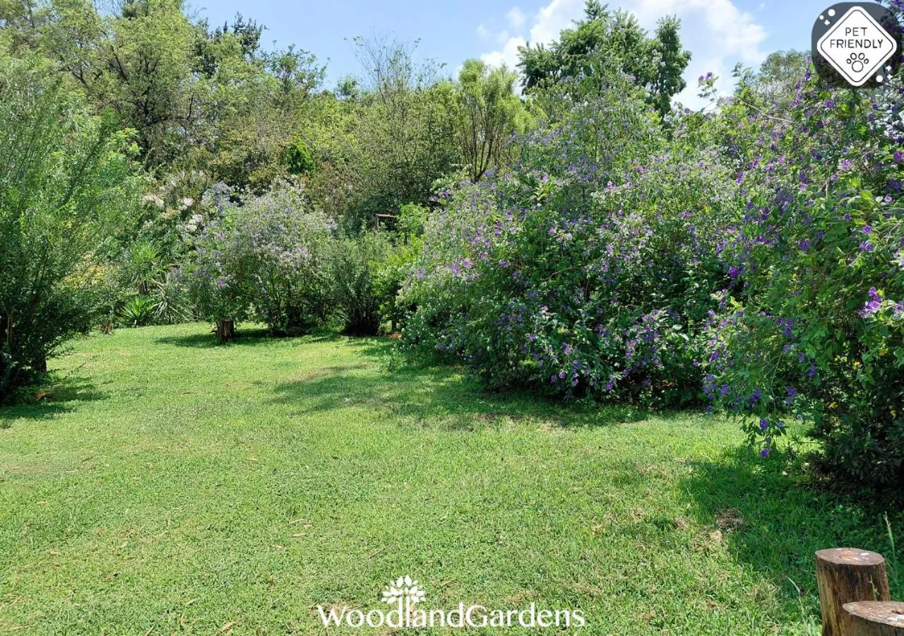 Garden in Woodland Gardens Self catering Pet Friendly Lodge