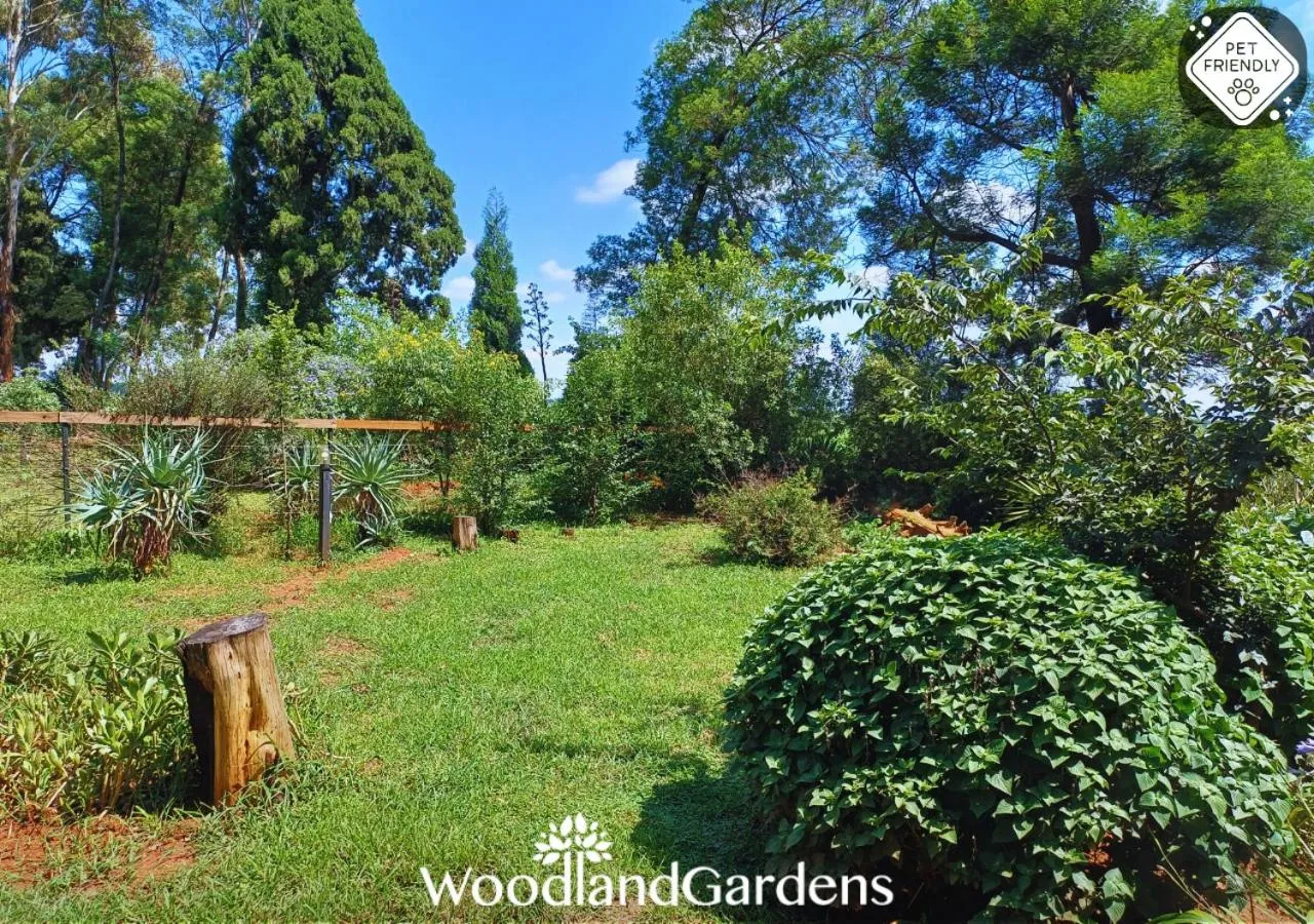 Garden in Woodland Gardens Self catering Pet Friendly Lodge
