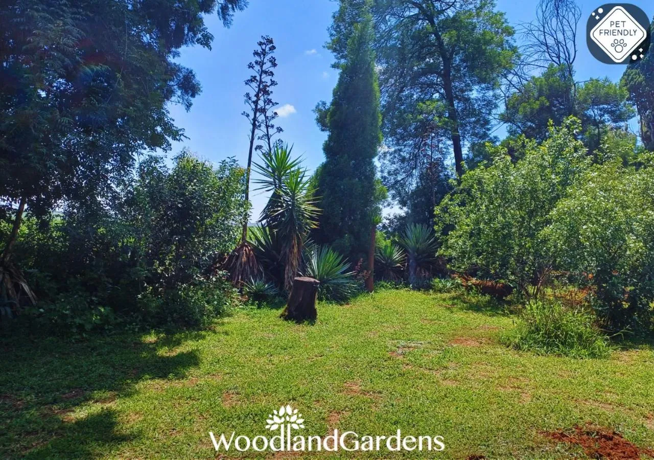 Garden in Woodland Gardens Self catering Pet Friendly Lodge