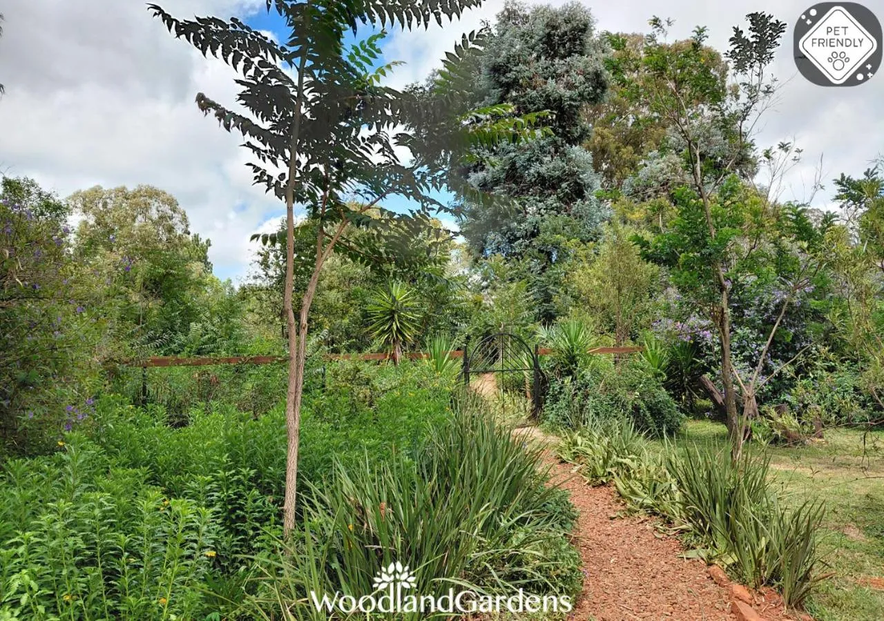 Garden in Woodland Gardens Self catering Pet Friendly Lodge