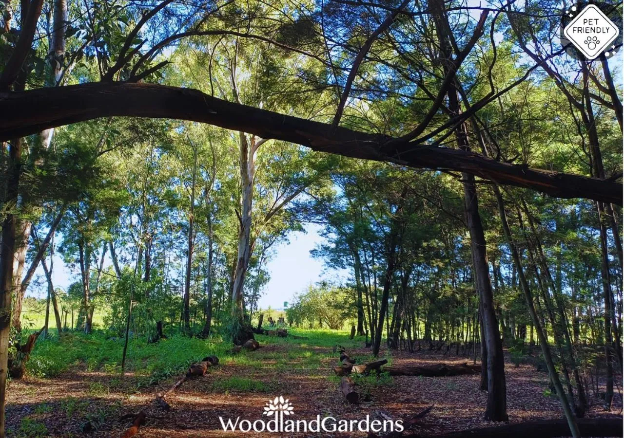 Garden in Woodland Gardens Self catering Pet Friendly Lodge