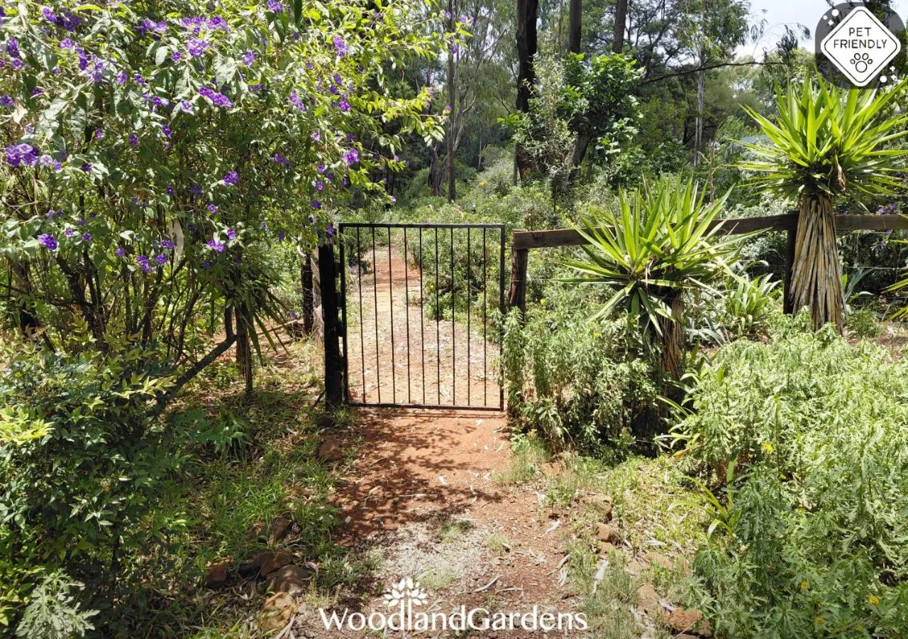 Garden in Woodland Gardens Self catering Pet Friendly Lodge
