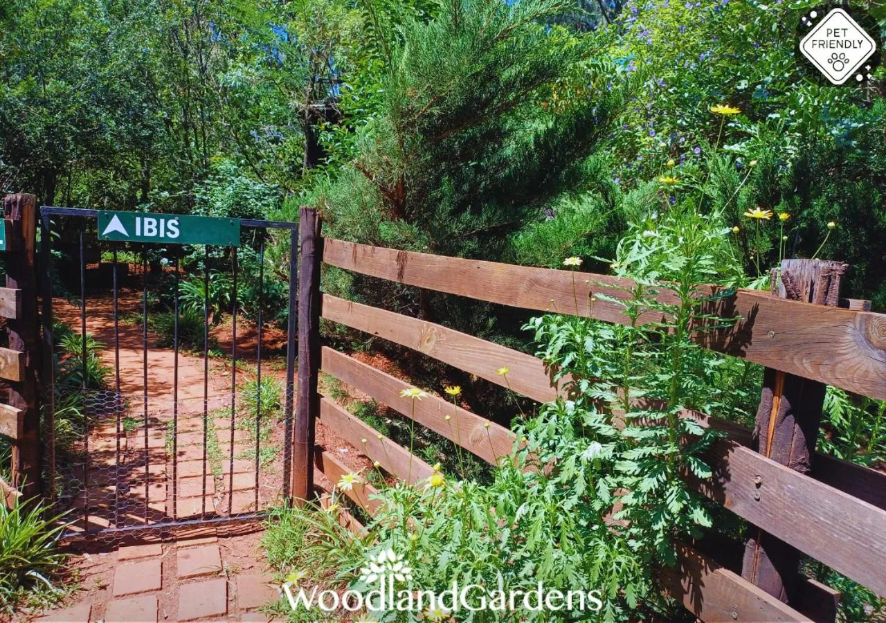Garden in Woodland Gardens Self catering Pet Friendly Lodge
