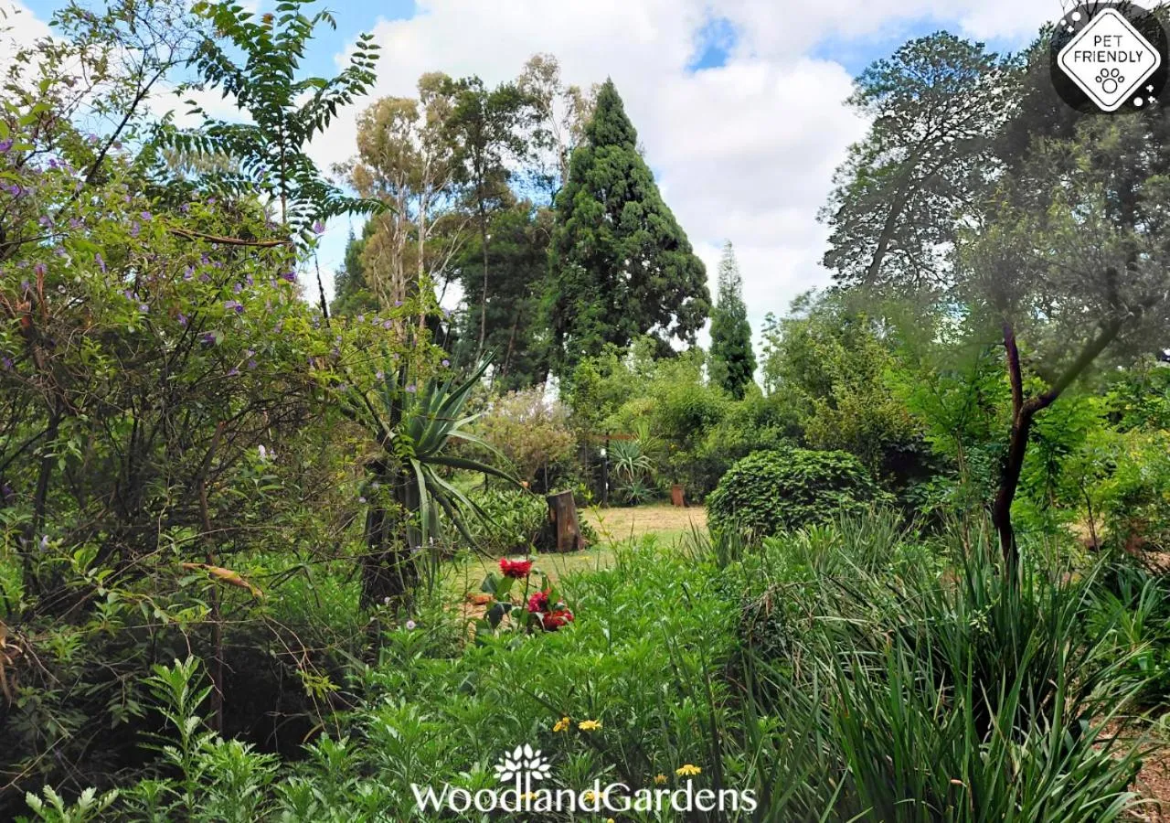 Garden in Woodland Gardens Self catering Pet Friendly Lodge