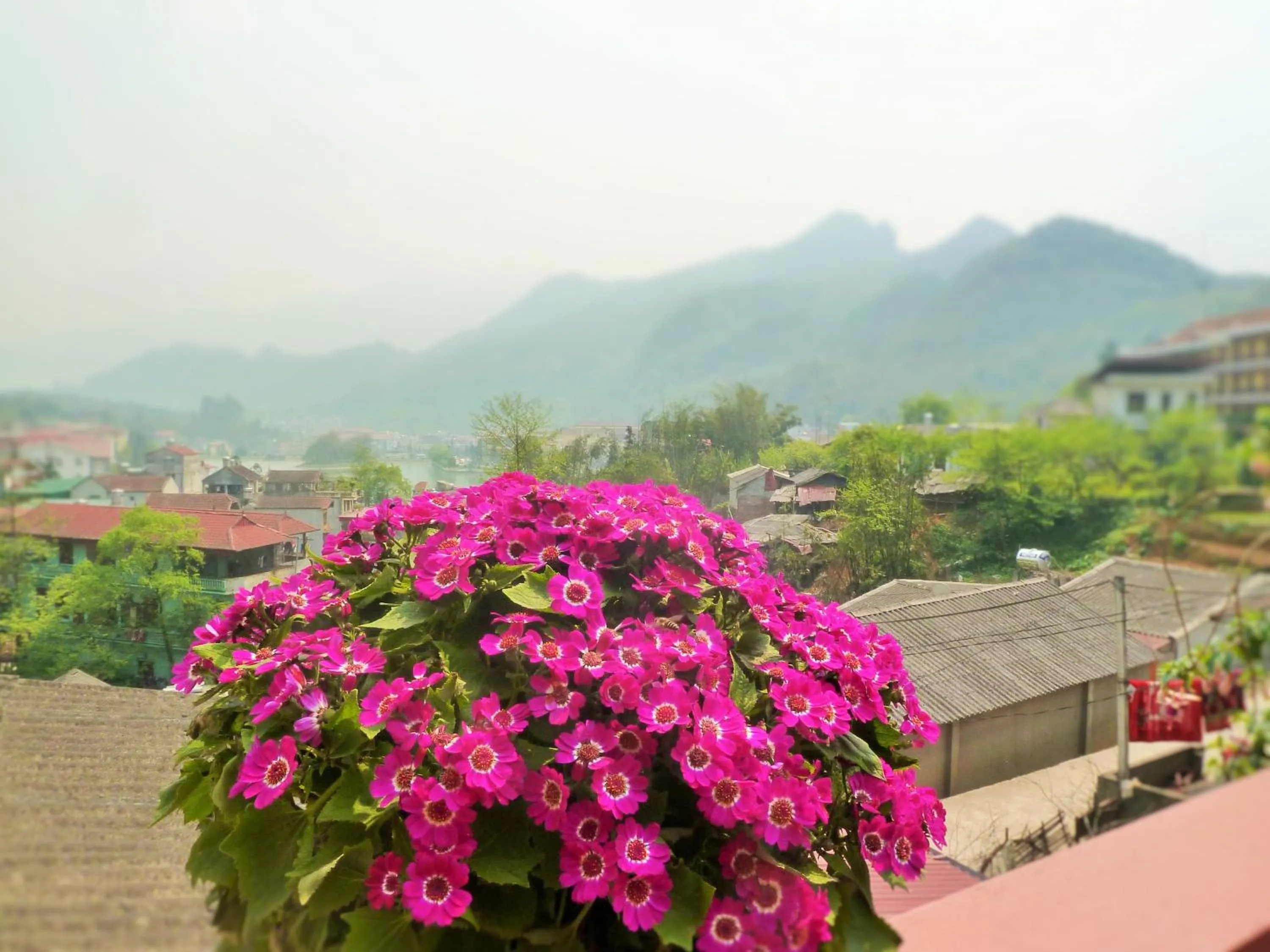 View (from property/room) in Sapa Local House