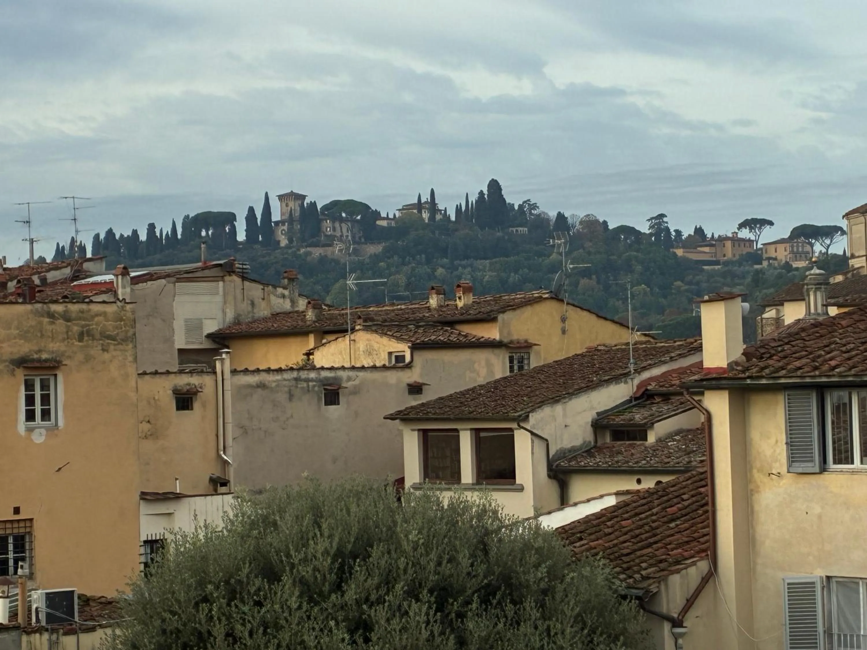 View (from property/room) in Palazzo Mannaioni Suites