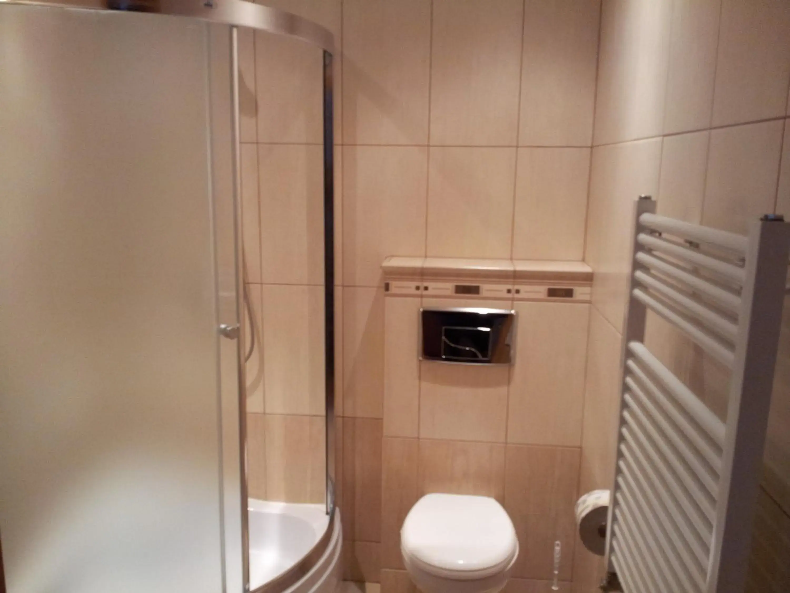 Double Room in Hotel Staropolski Double Room in Hotel Staropolski