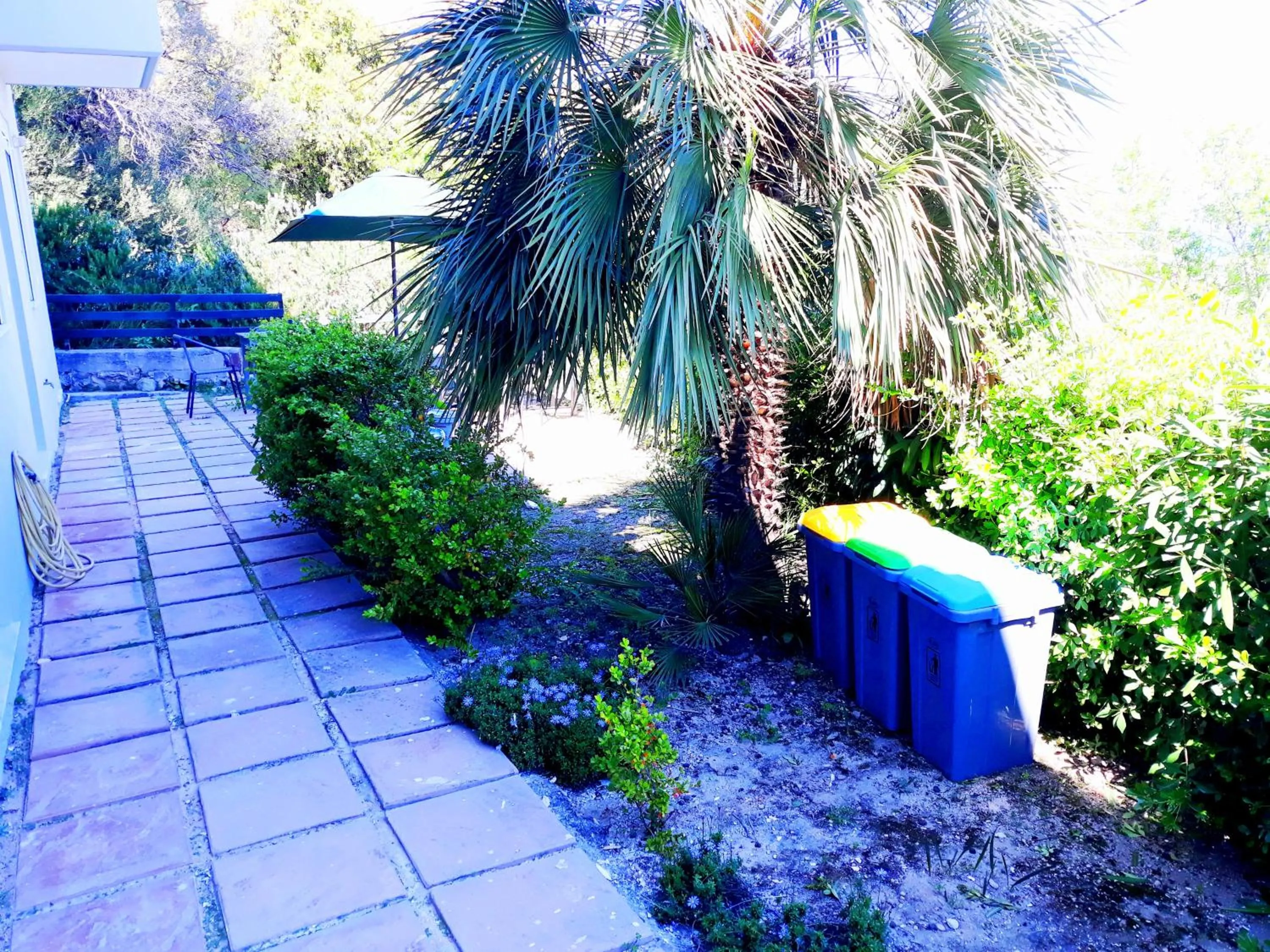 Garden in Point Twins Apartments