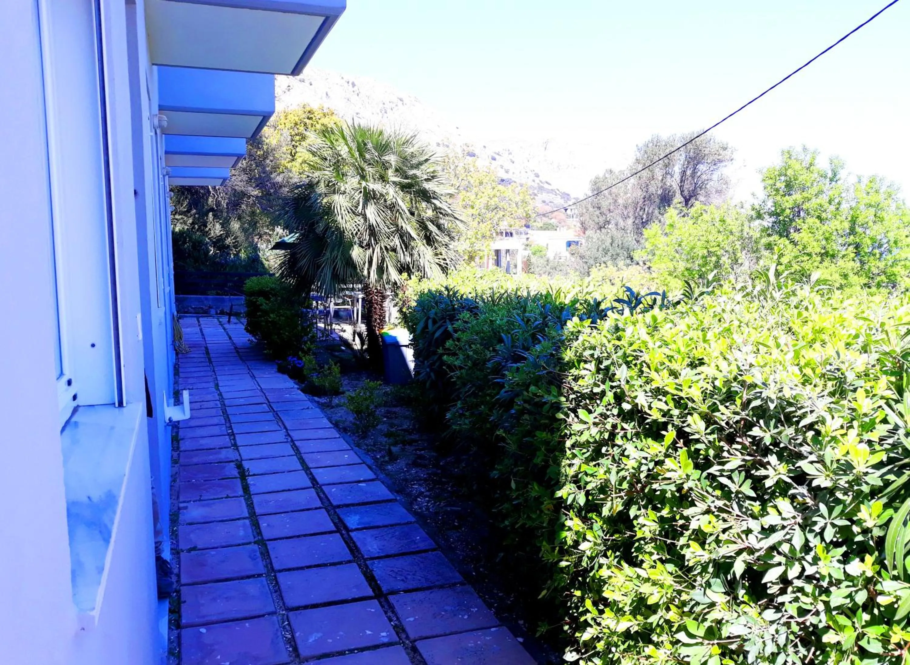 Garden in Point Twins Apartments