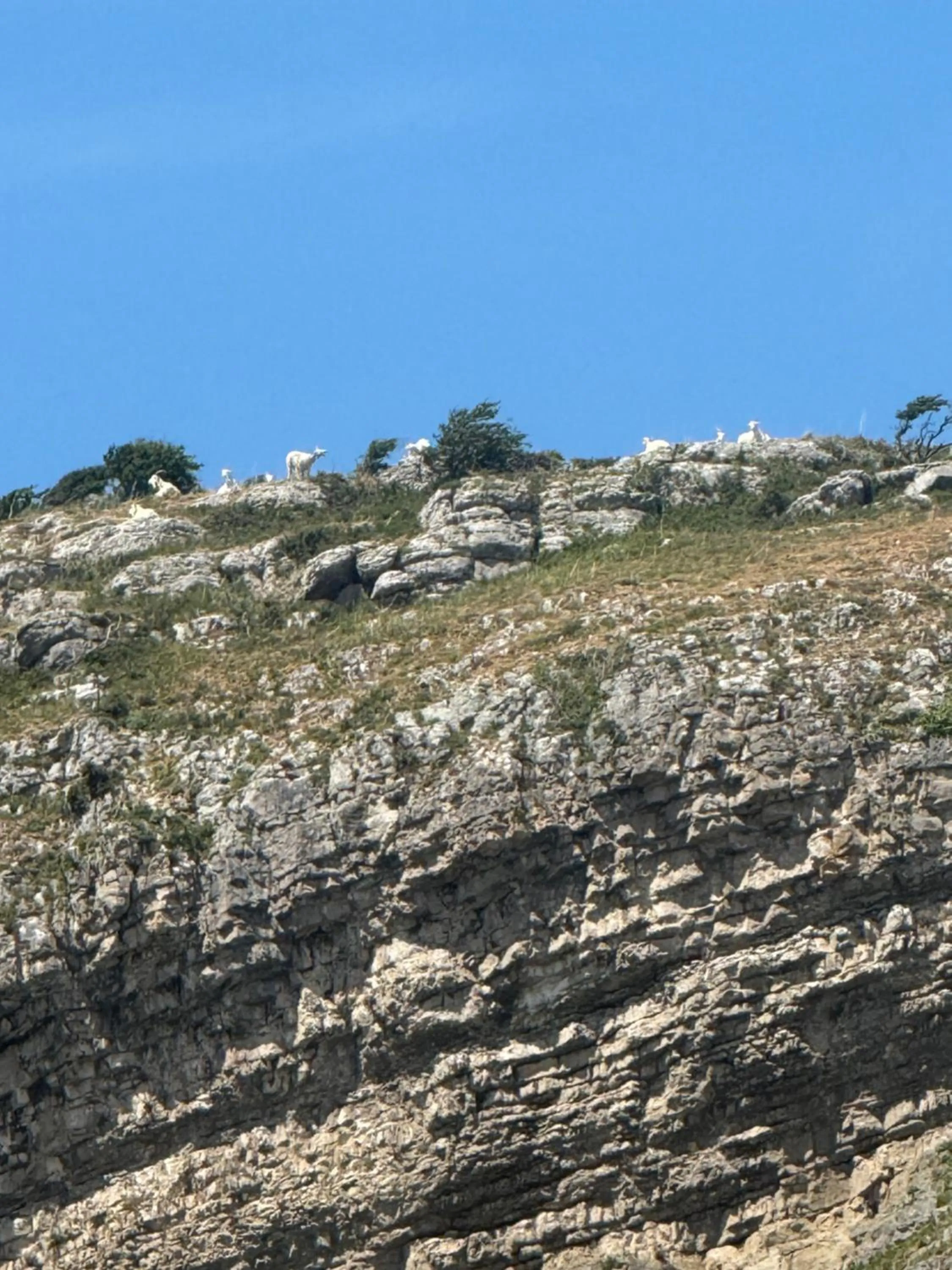 View (from property/room) in Milverton House