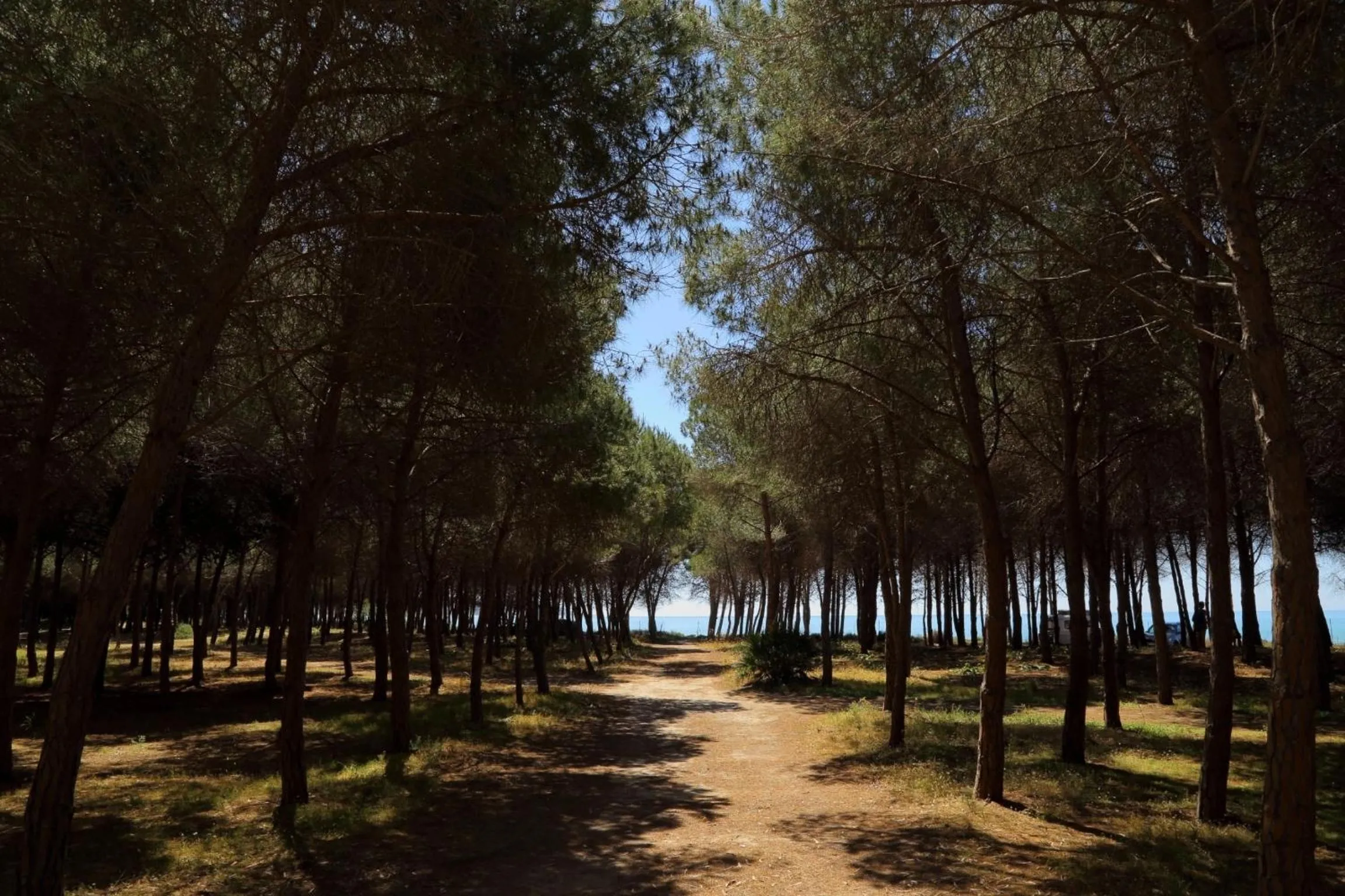 Day in Eraclea Minoa Village
