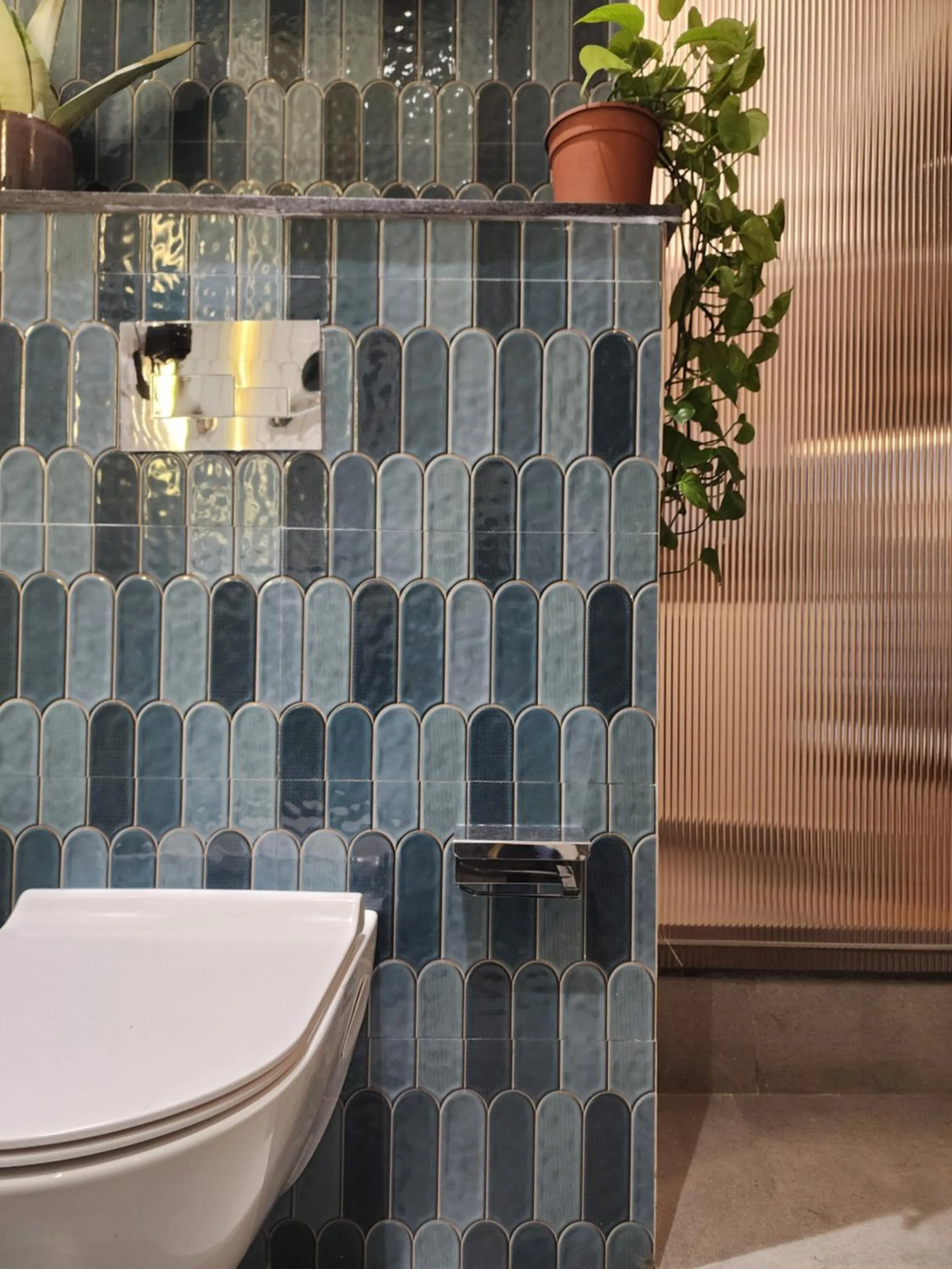 Toilet in JHouse near Bhikaji