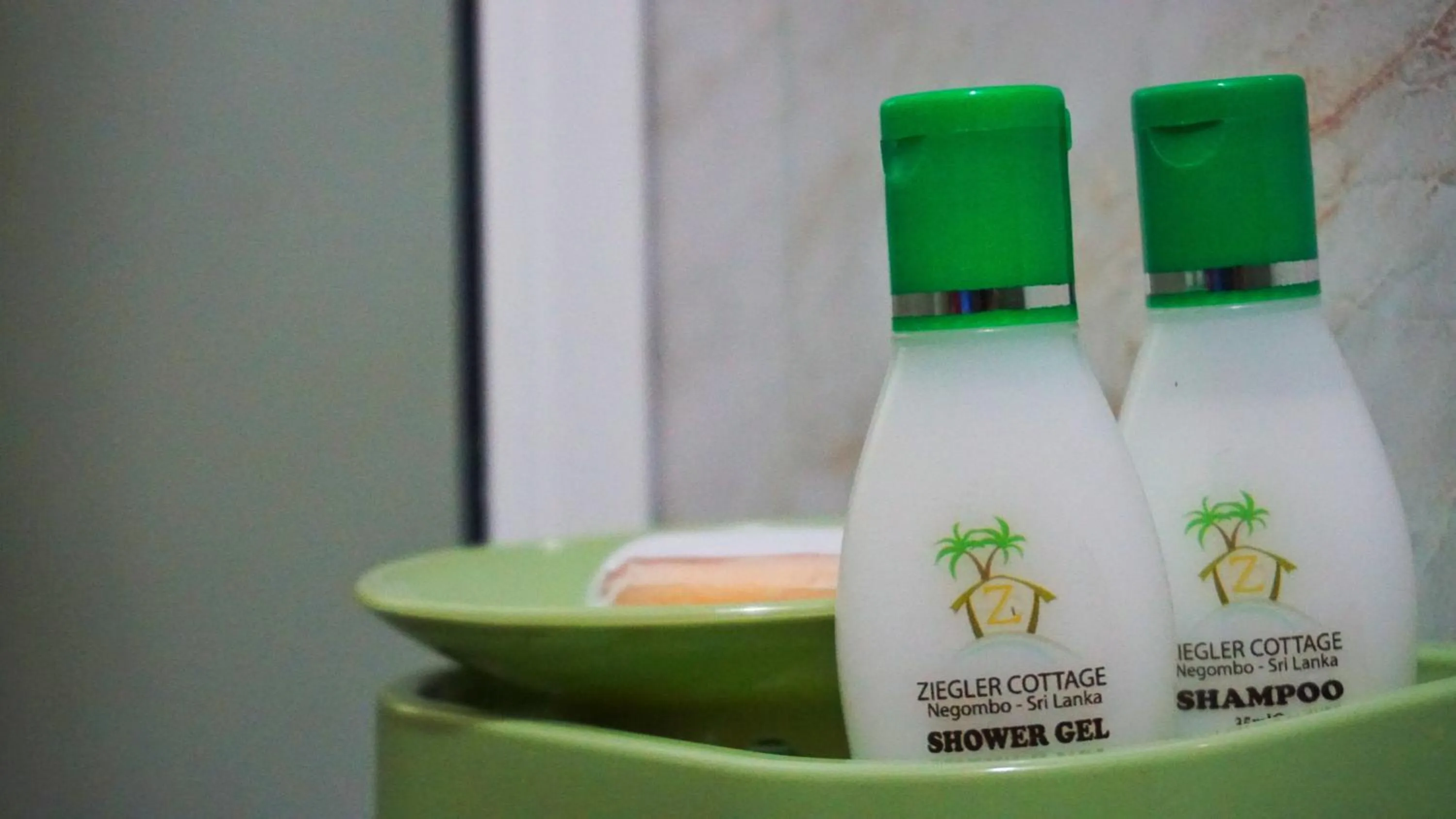 Bathroom in Ziegler Cottage