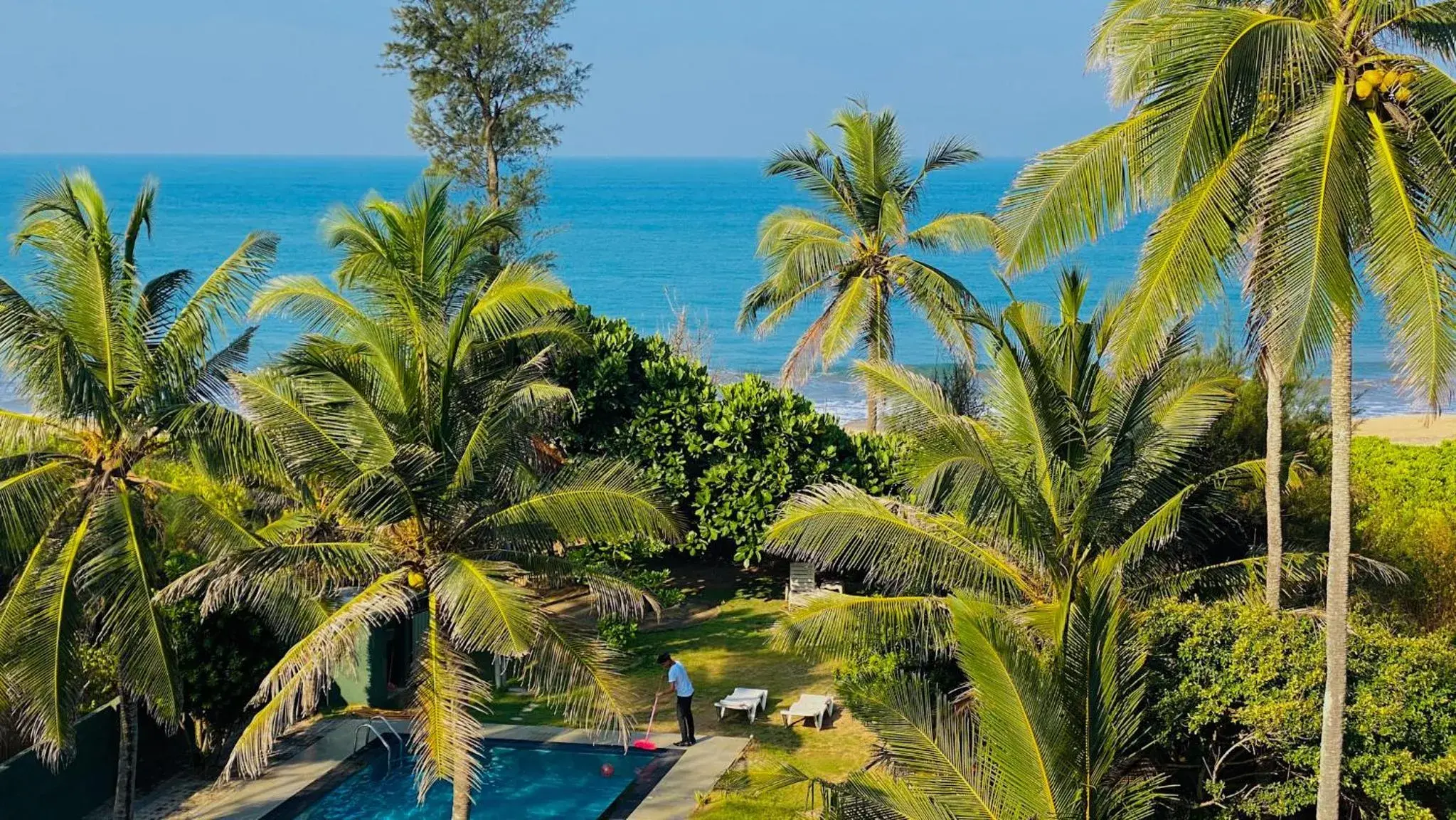 Garden view in Ziegler Cottage Garden view in Ziegler Cottage