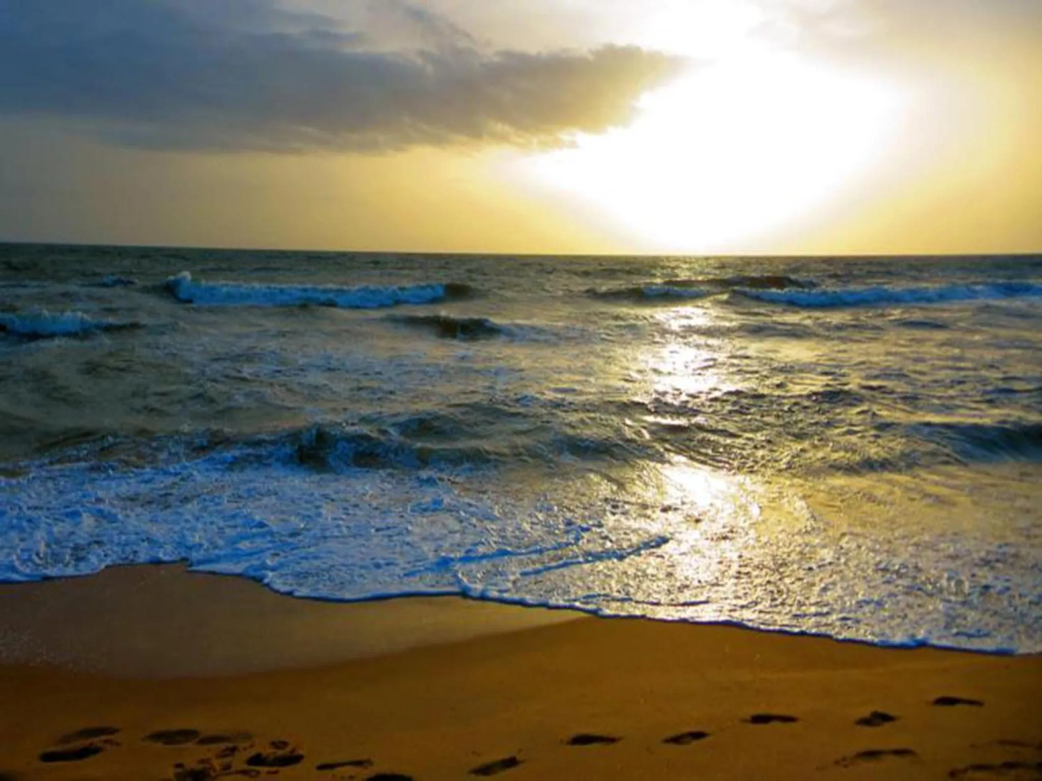 Beach in Ziegler Cottage