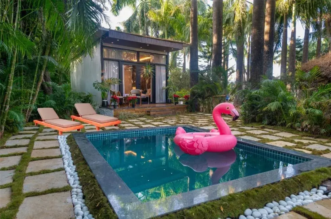 Pixotell Azzure Pixotell Azzure