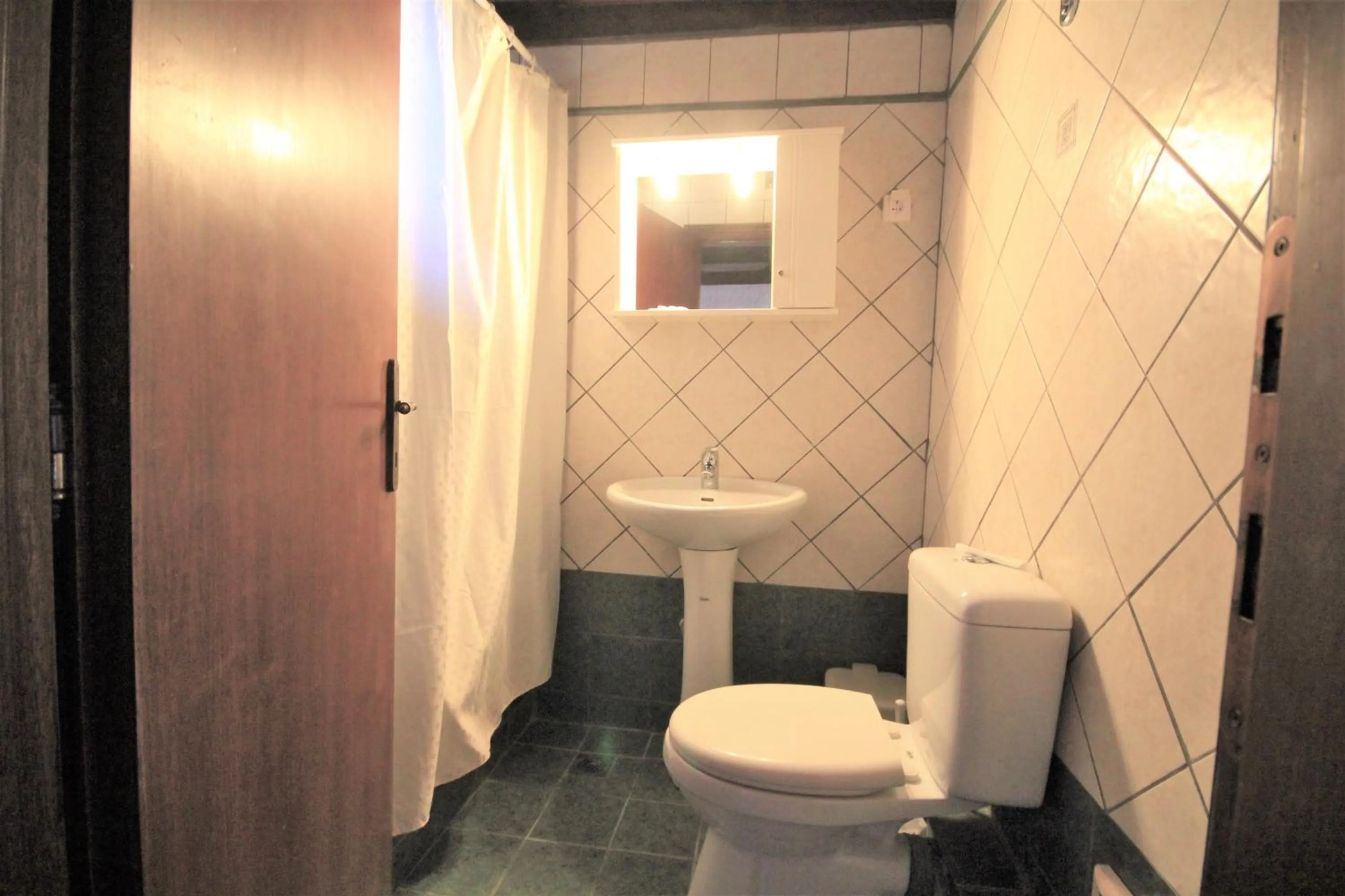 Toilet in Delphi Hotel