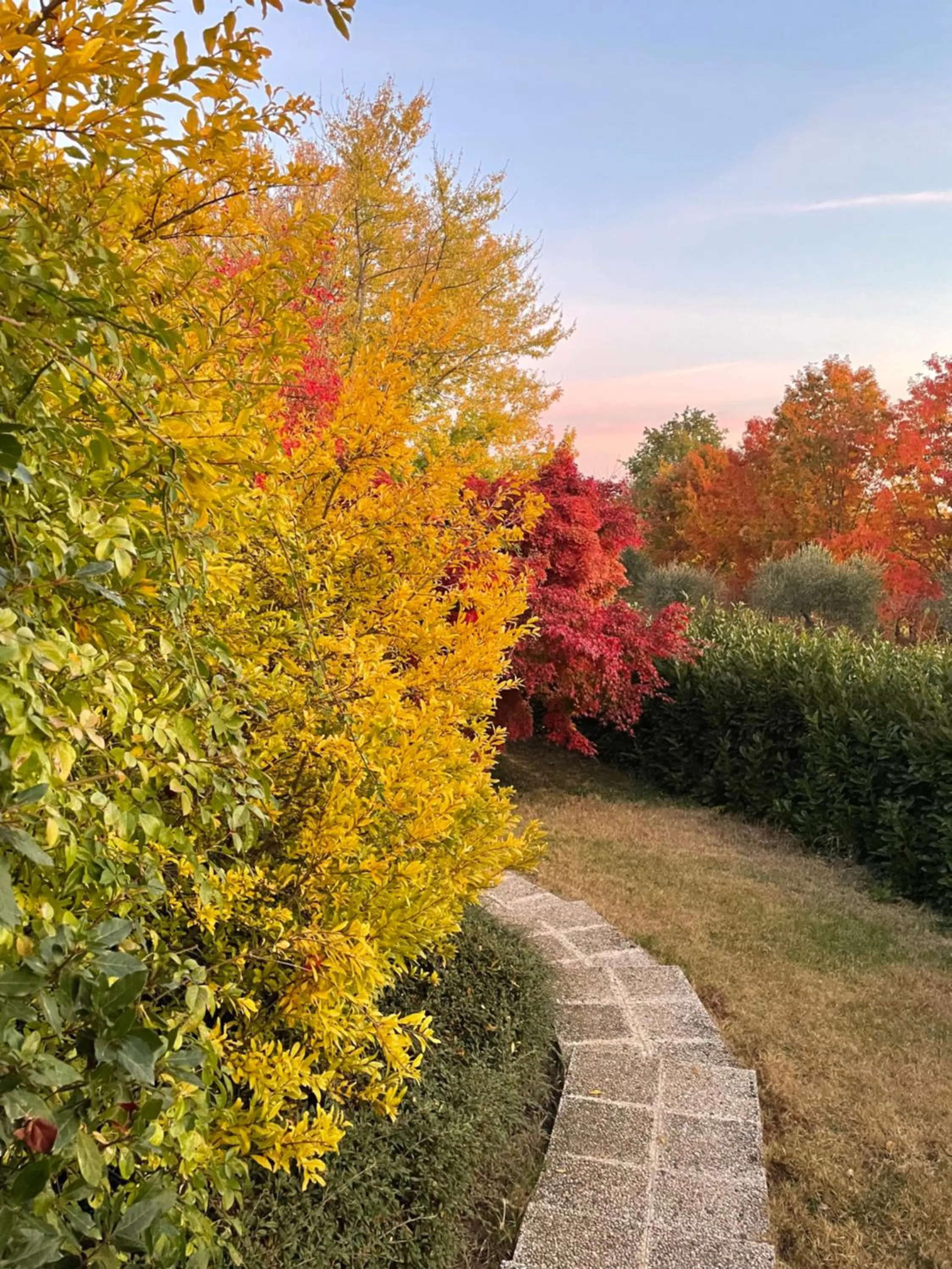 Garden view in B&B Puntodivista