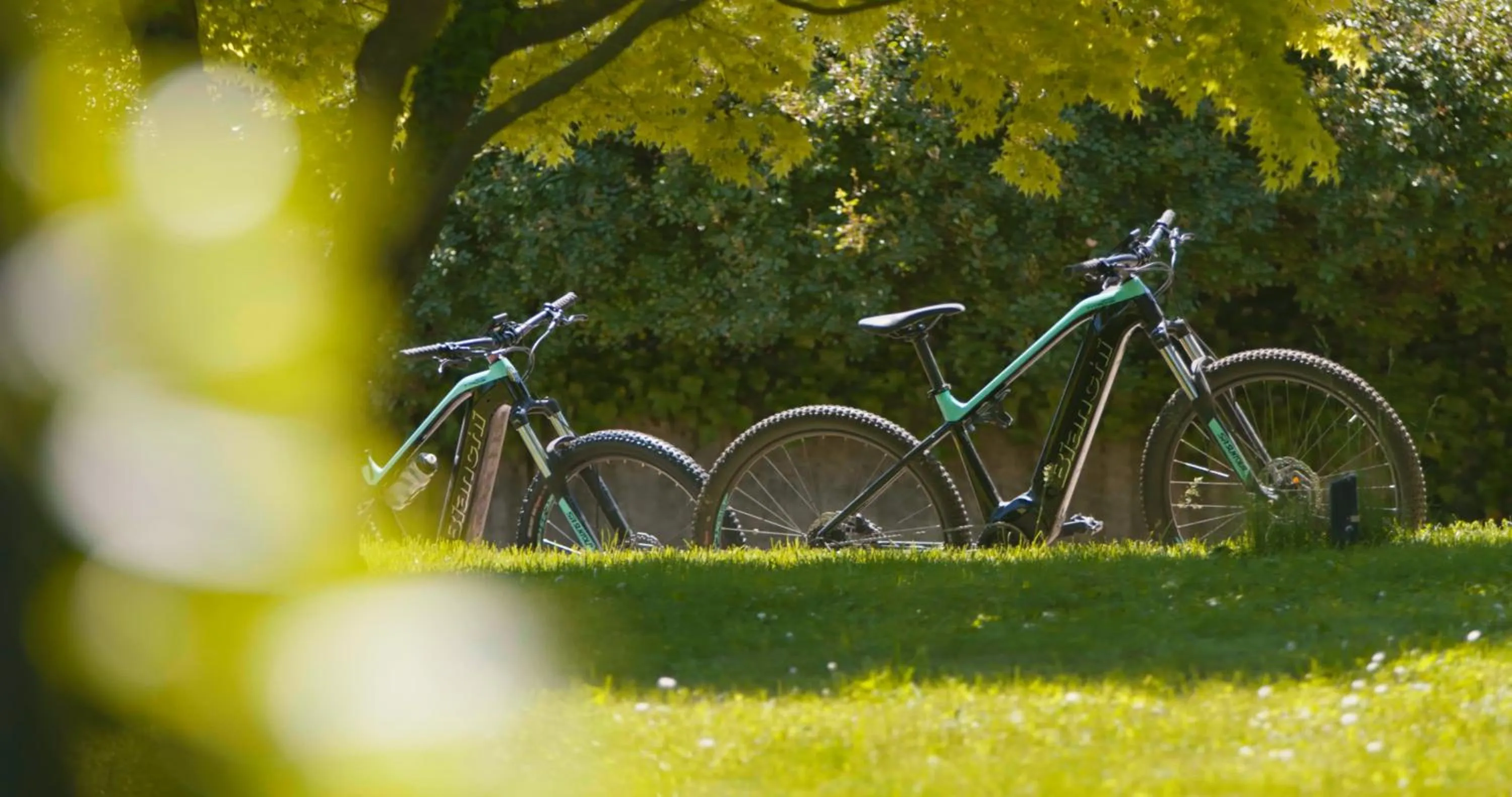 Activities in B&B Puntodivista