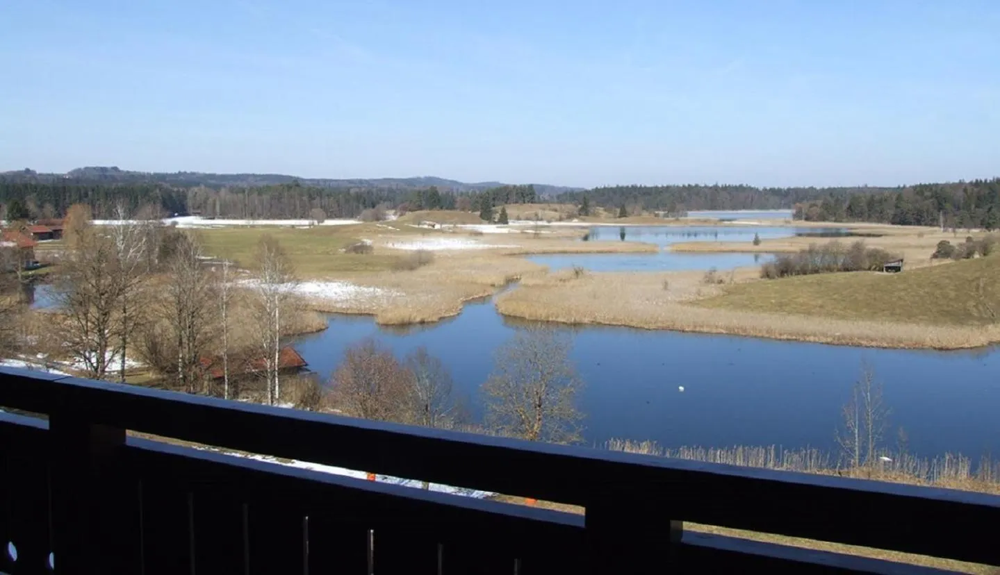Lake view in Hotel & Landgasthof Osterseen
