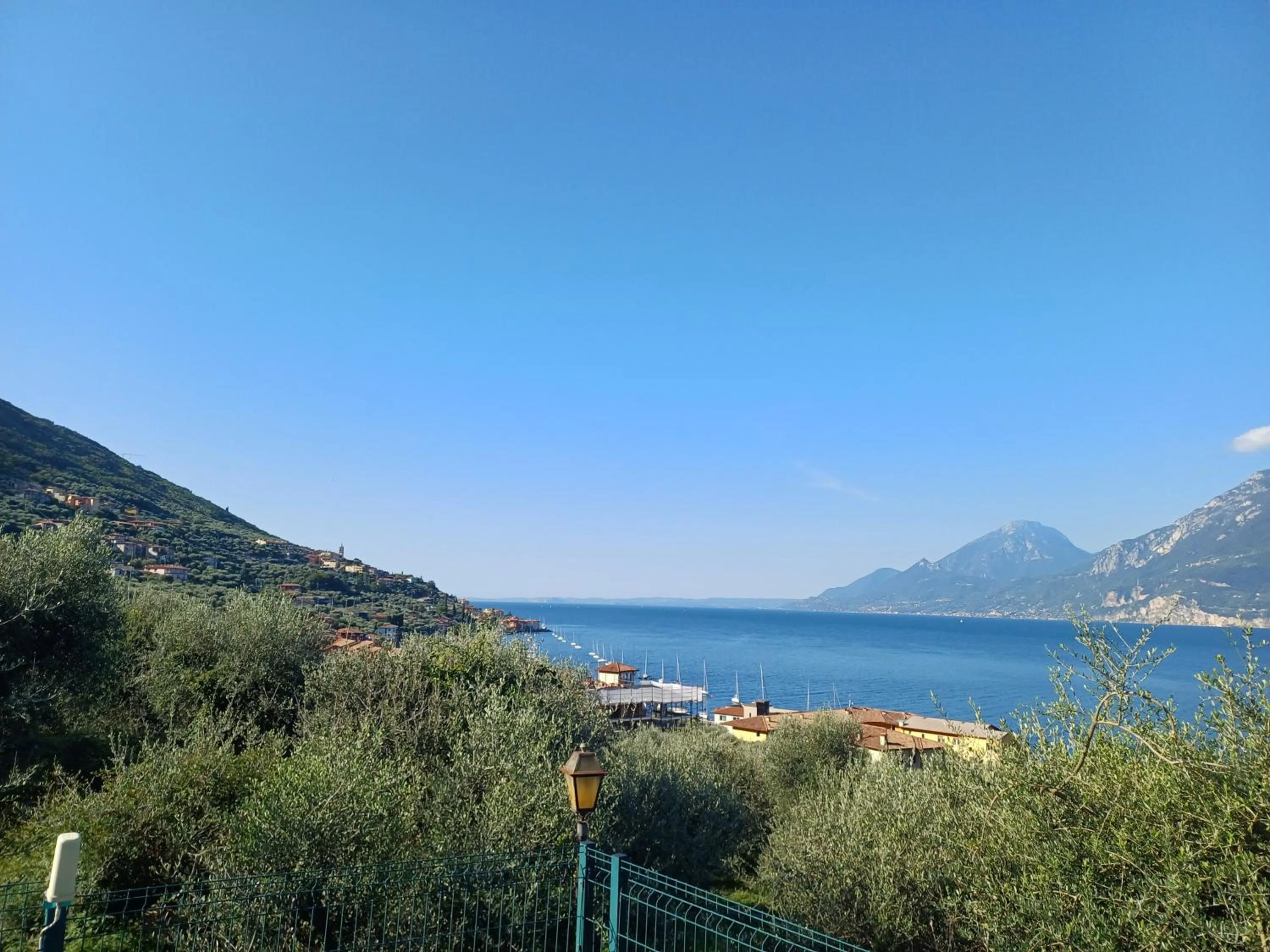 Appartamenti Albatros