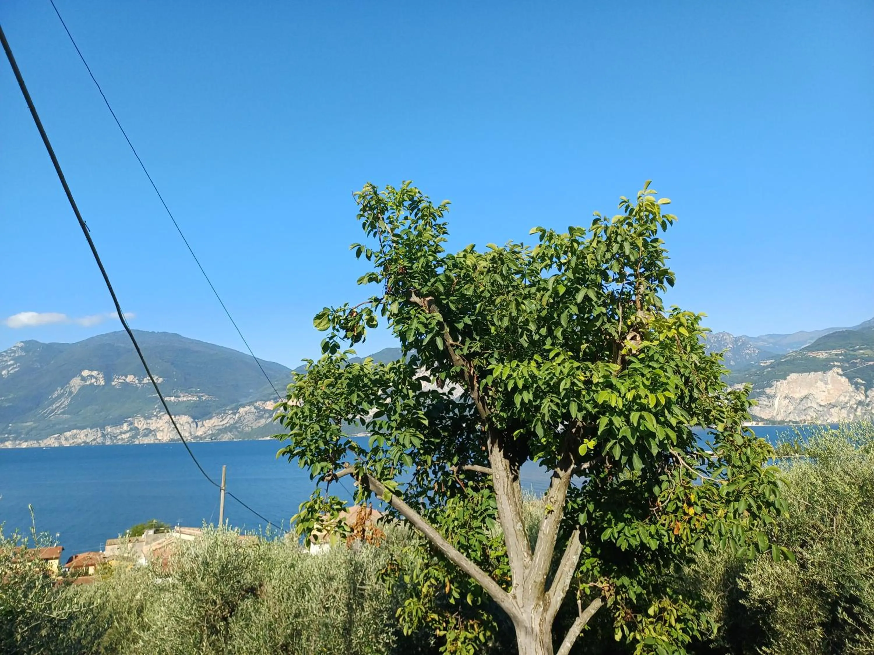 Appartamenti Albatros