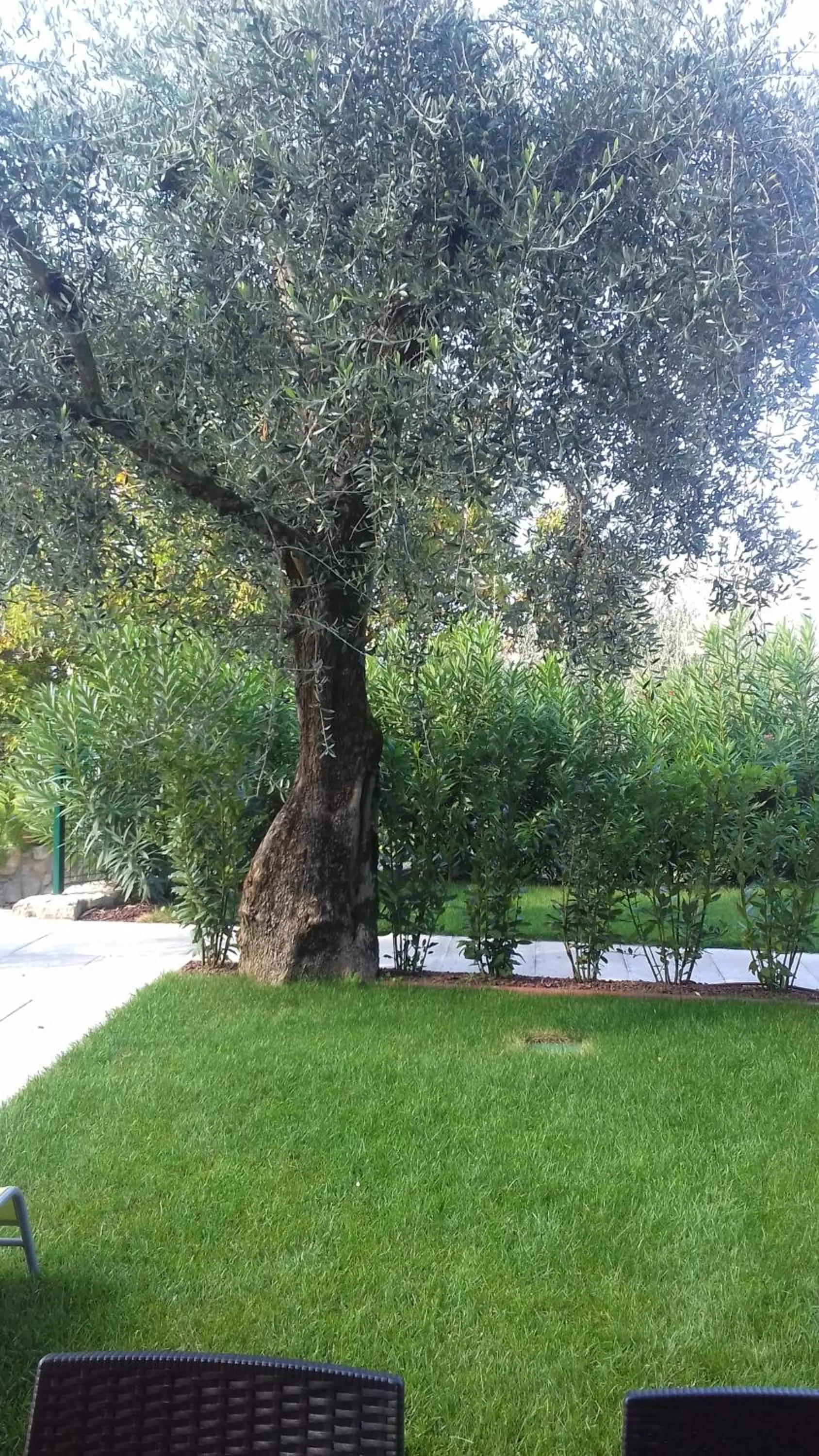 Appartamenti Albatros