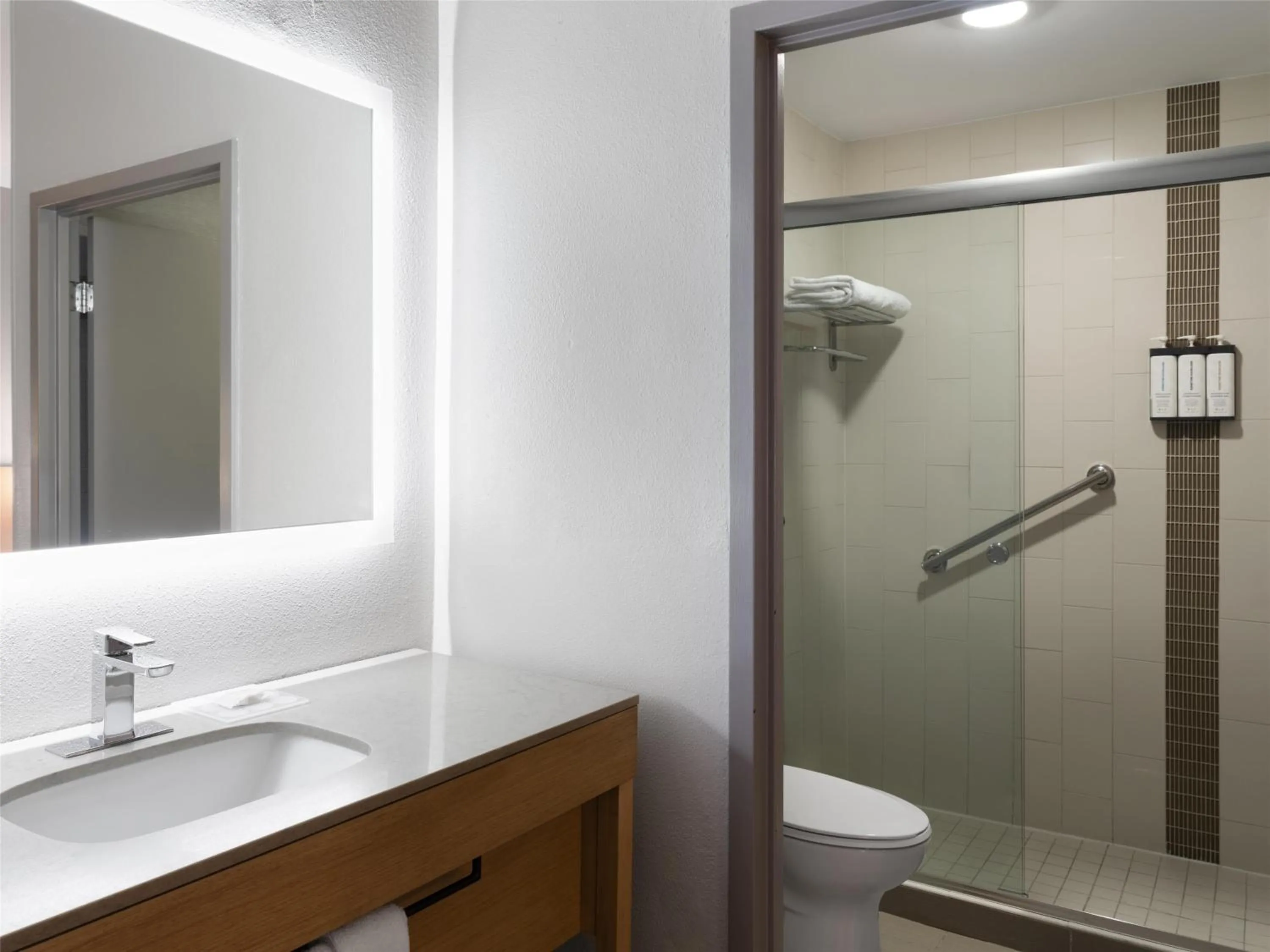 Bathroom in Hyatt Place Greenville/Haywood