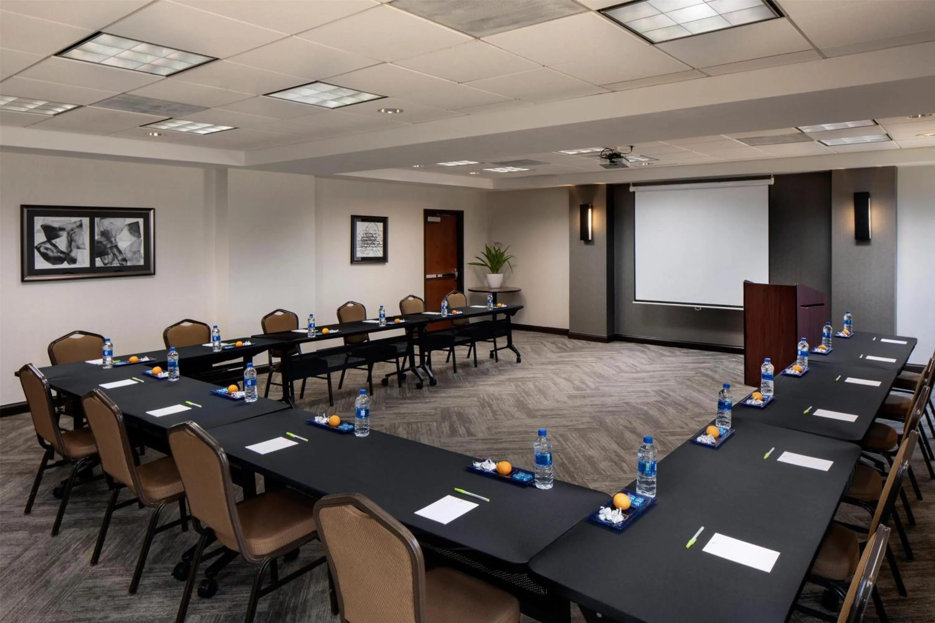 Meeting/conference room in Hyatt Place Greenville/Haywood