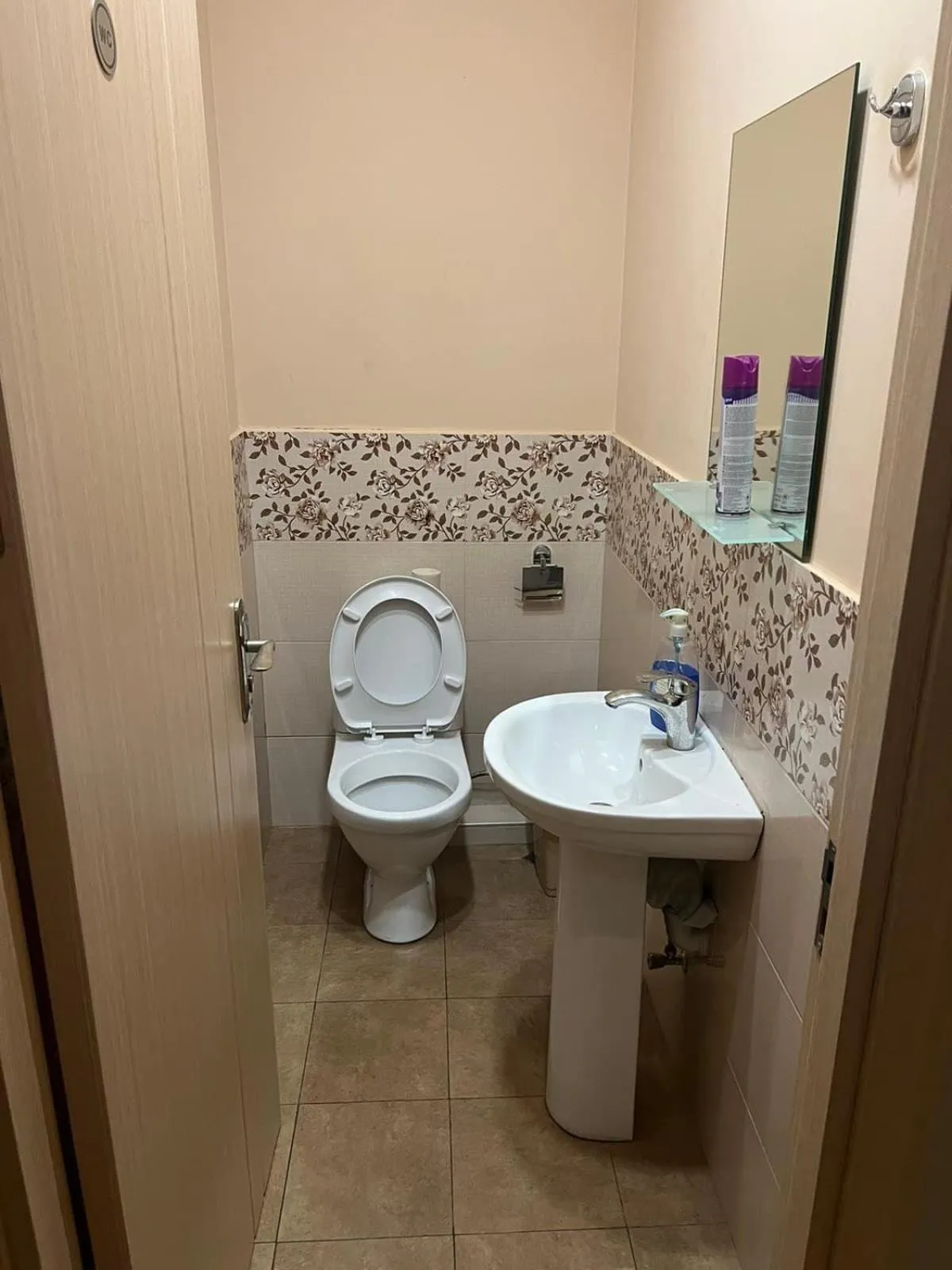 Toilet in Galaxy Hostel