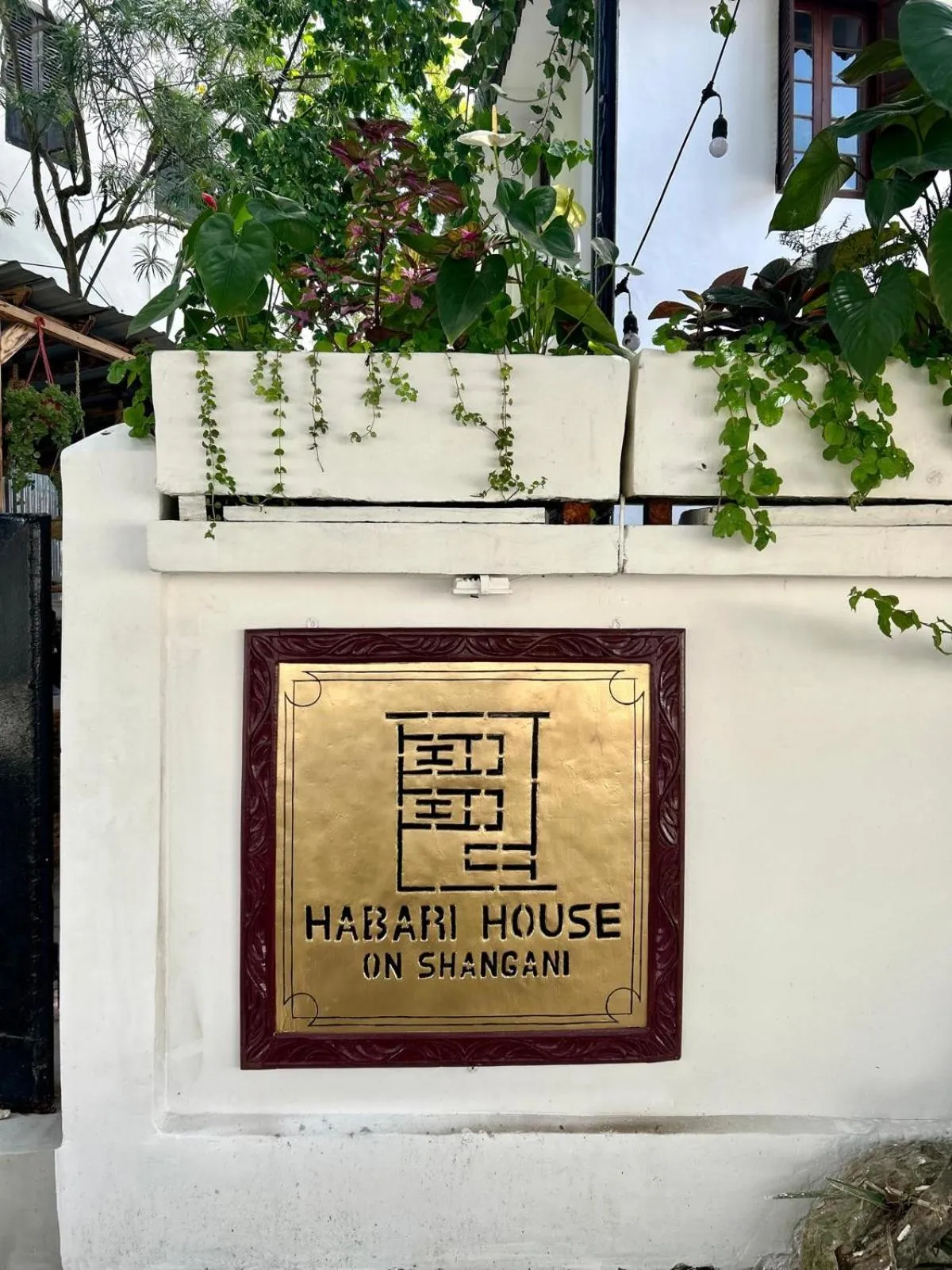 Restaurant/places to eat in Habari House
