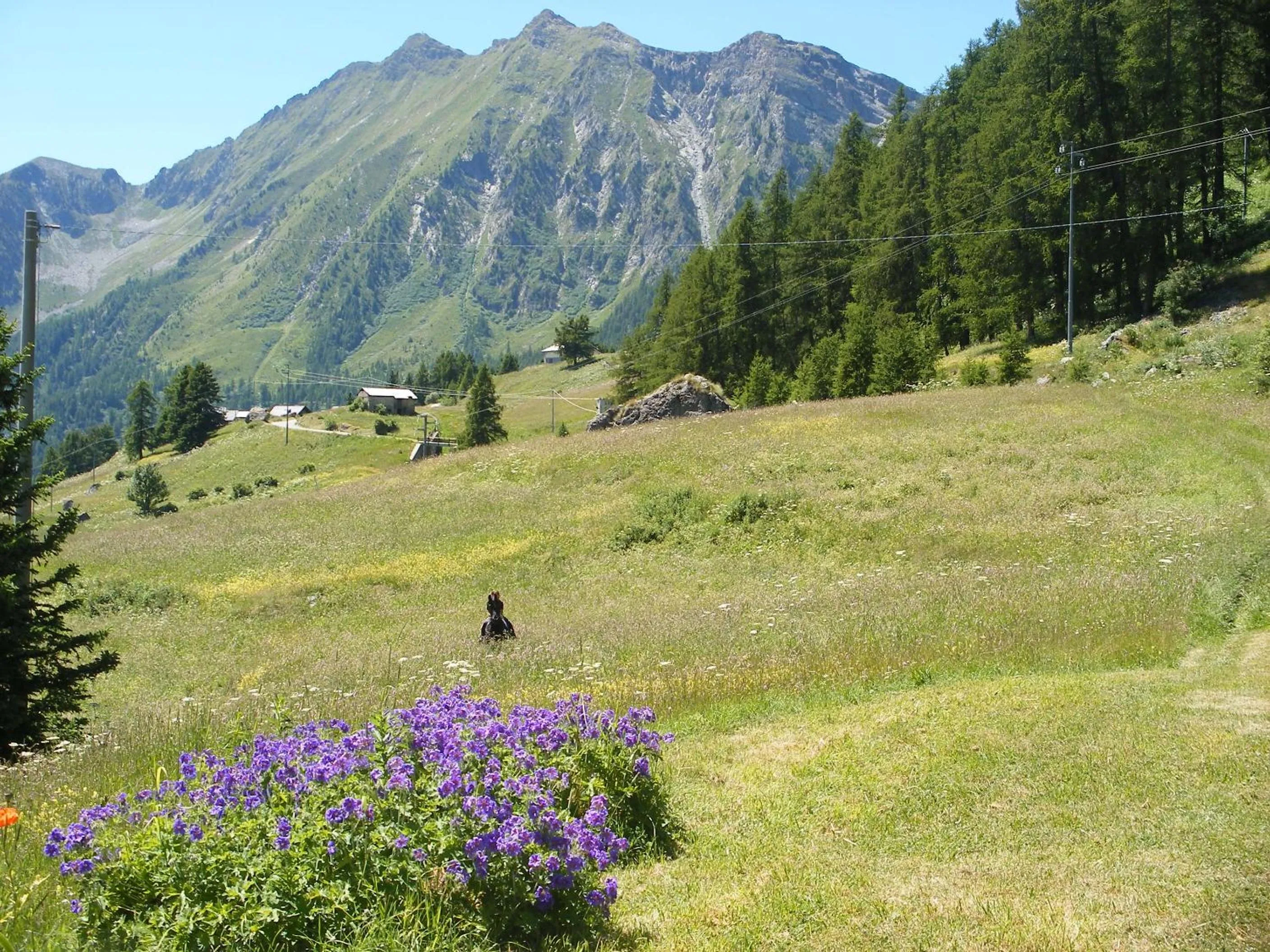 Natural landscape in Santa San