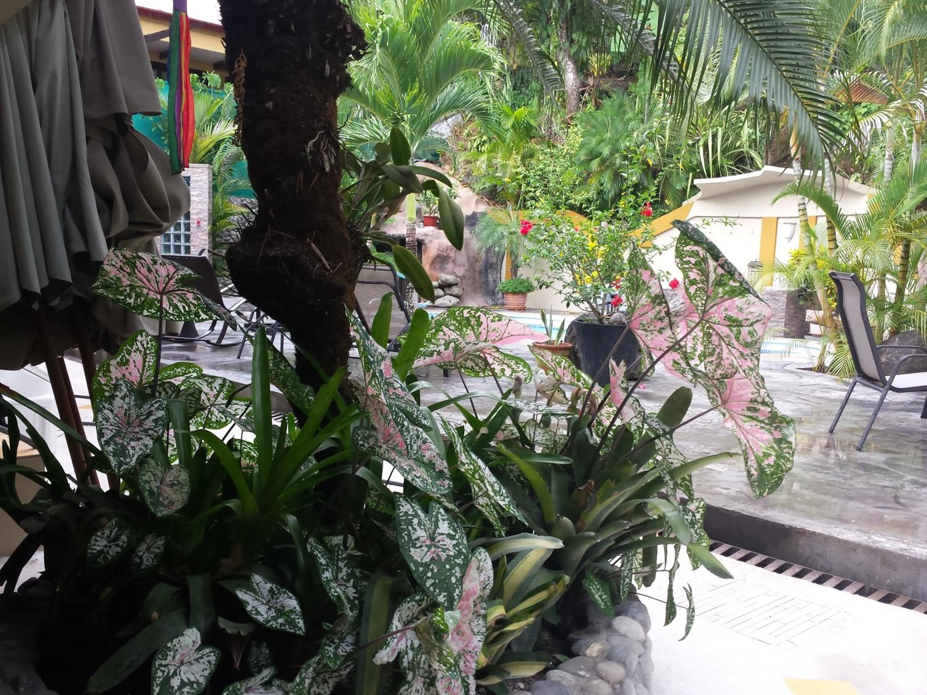 Balcony/Terrace in Coyaba Tropical Elegant Adult Guesthouse