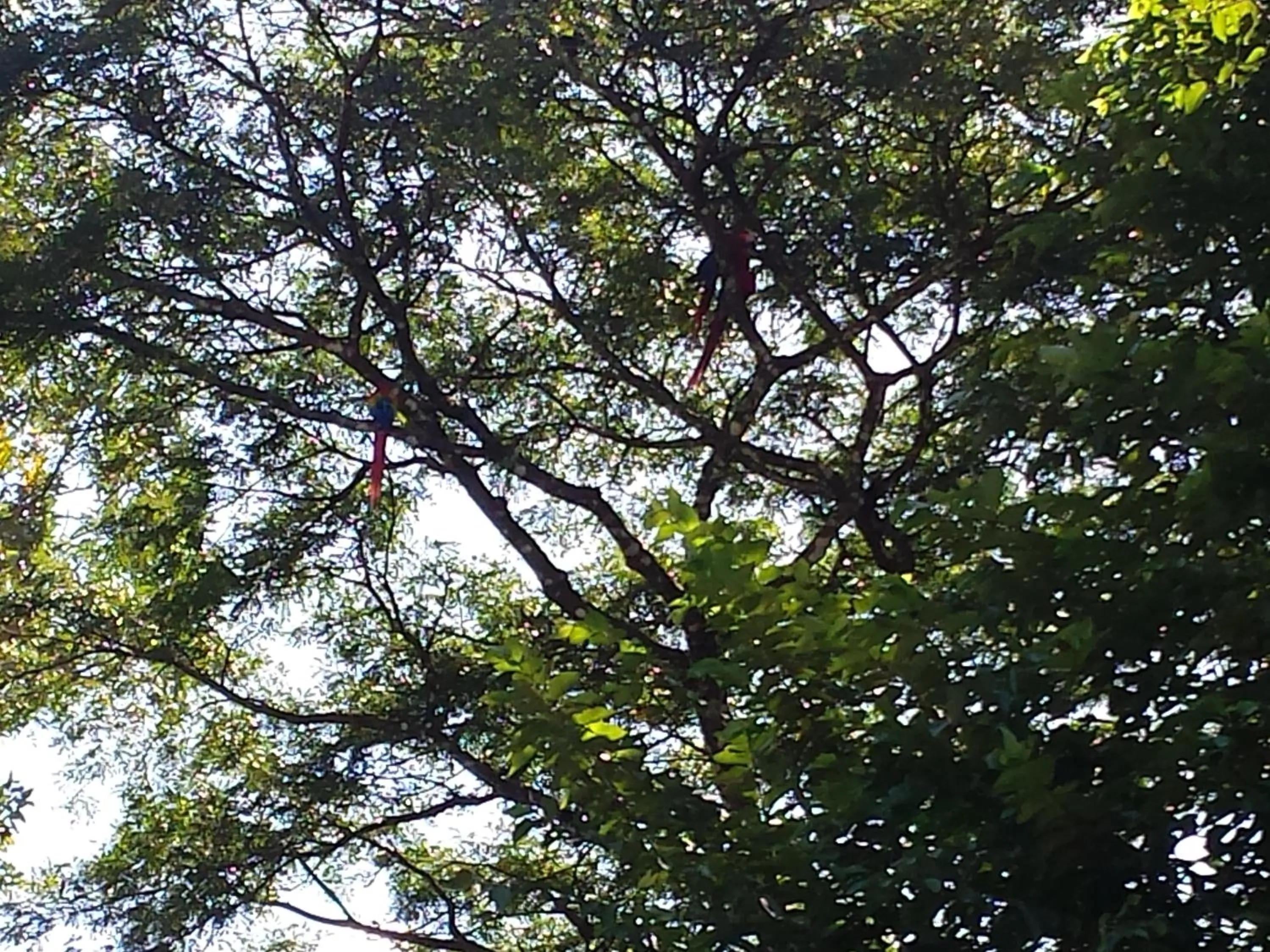 Other in Coyaba Tropical Elegant Adult Guesthouse