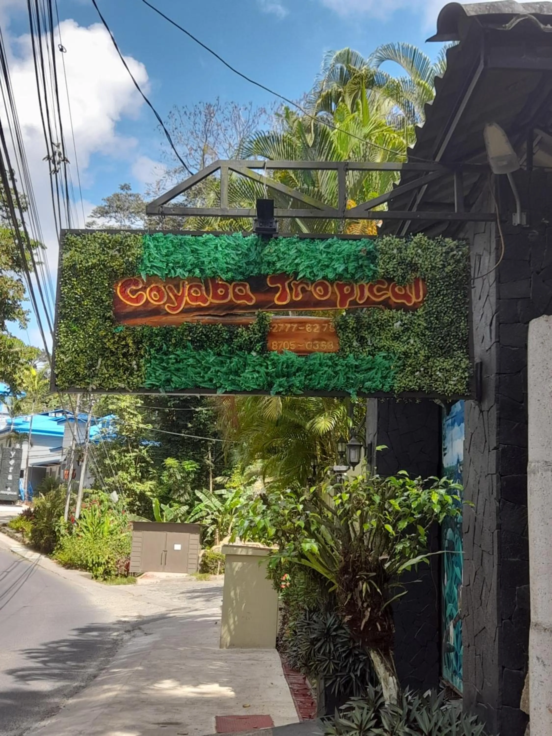 Facade/entrance in Coyaba Tropical Elegant Adult Guesthouse