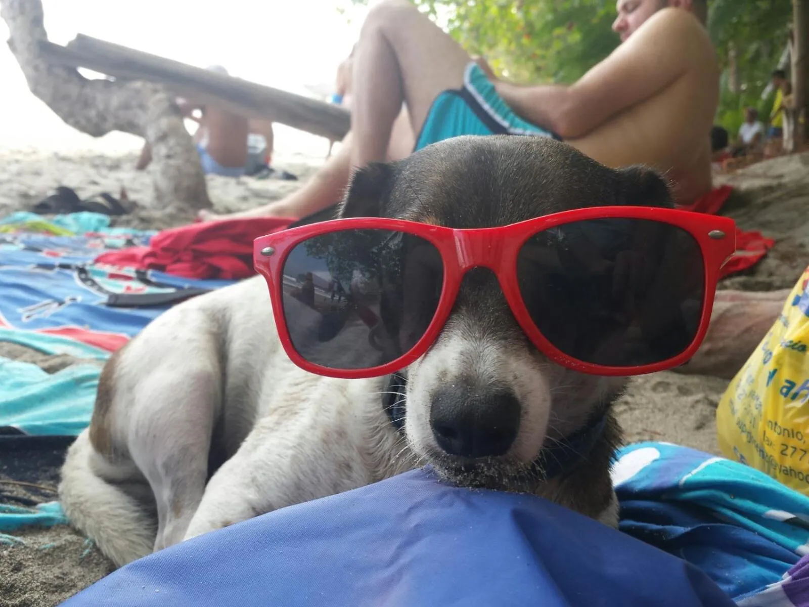 Beach in Coyaba Tropical Elegant Adult Guesthouse